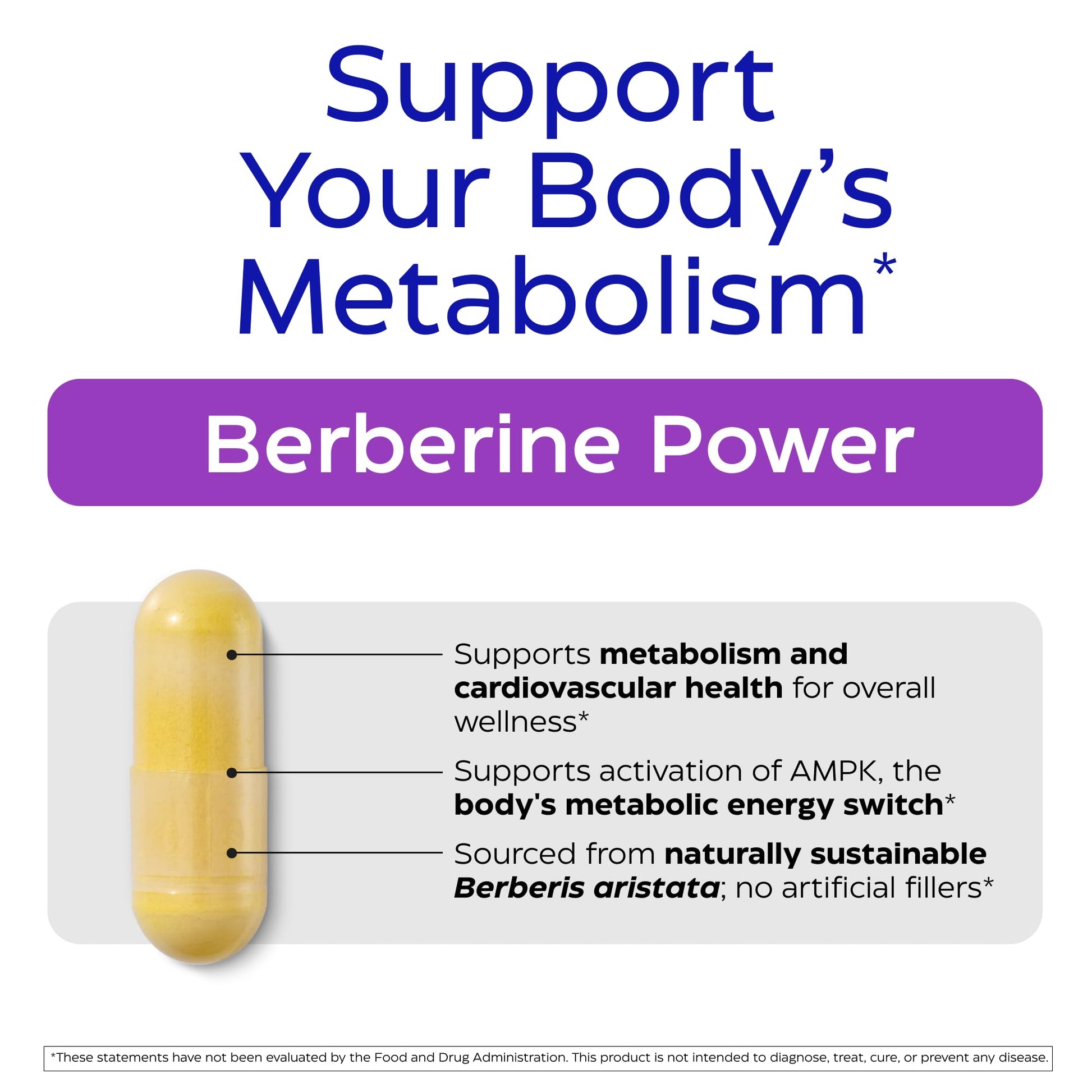 Enzymedica, Berberine Supplement, HCl, 510mg, Berberine, for Overall Health and Wellness, Vegan, No Artificial fillers, 60 Count - Medaid International