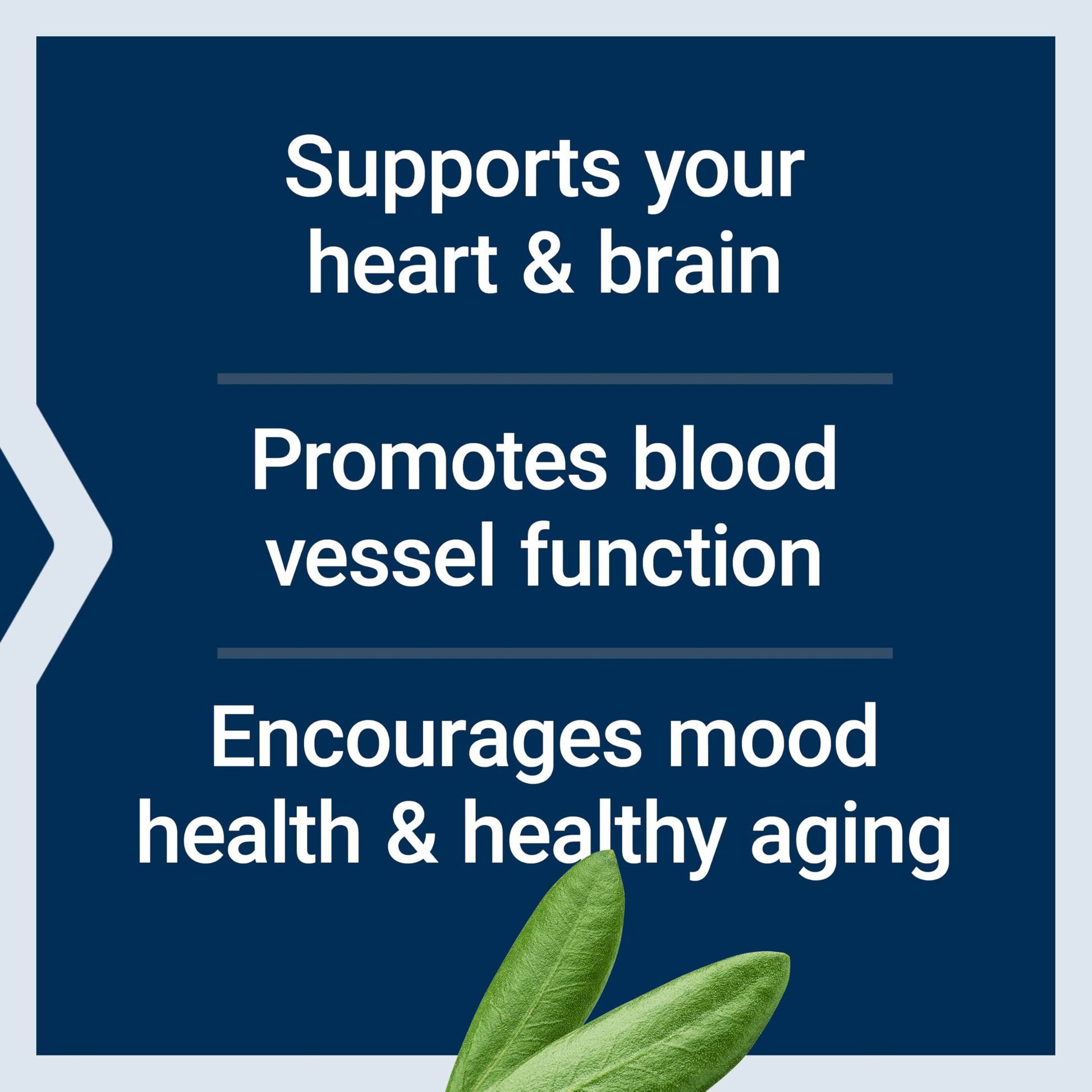 Life Extension Super Omega-3 EPA/DHA Fish Oil, Sesame Lignans & Olive Extract – Heart Health, Brain Health, Inflammation Health Support, Gluten-Free, Enteric-Coated, Non-GMO, 60 Softgels - Medaid International