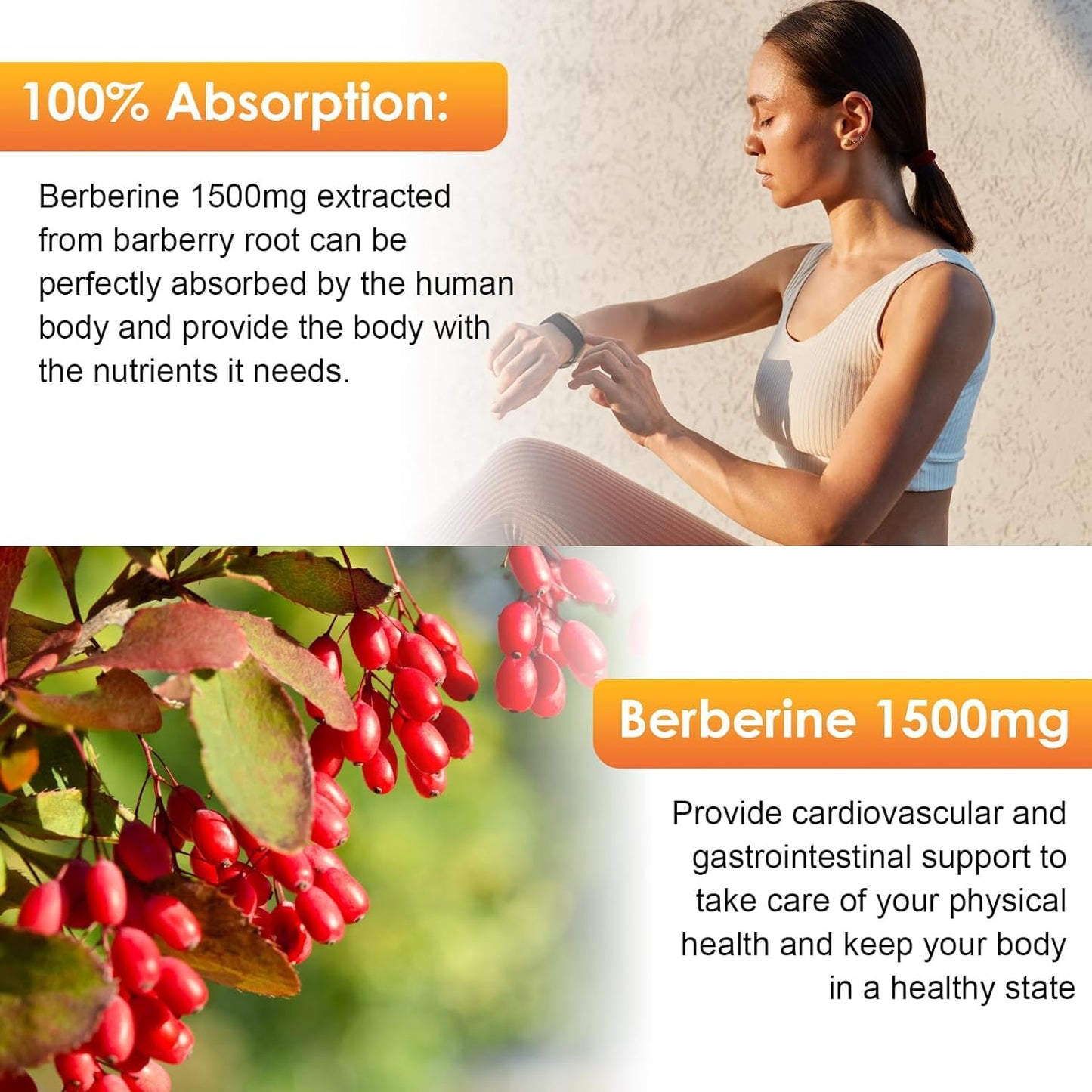 Bunkka (2 Pack) Berberine Supplement, Berberine Liquid Drops with Ceylon Cinnamon, Bitter Melon, Sugar-Free & Vegan Supplement Supports Immune System & Gastrointestinal Care - 4 FL Oz - Medaid International