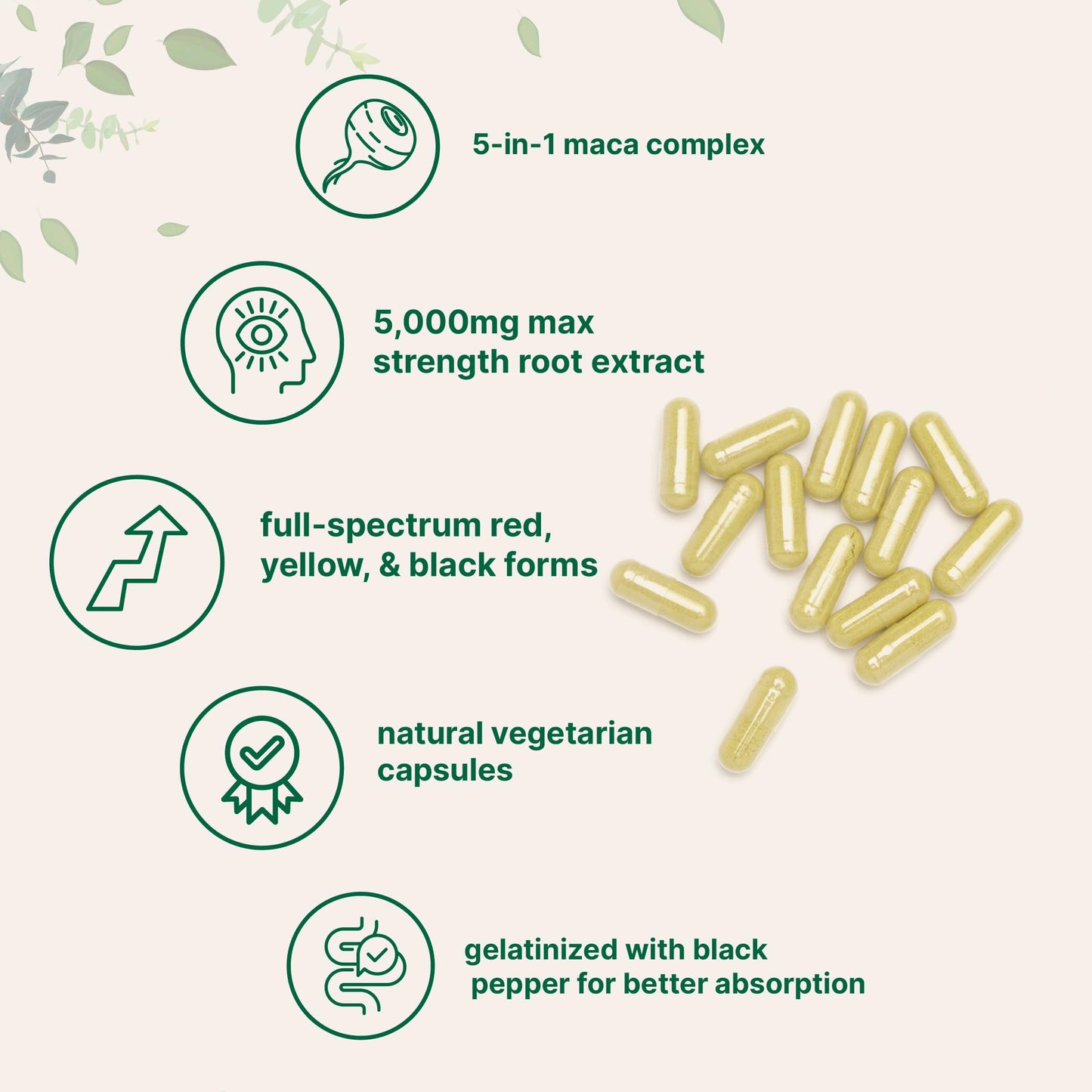 Maca Root Capsules for Women & Men 5,000mg | 240 Veggie Capsules with Ashwagandha, Red, Black, Yellow Maca Root, Panax Ginseng, Tongkat Ali & Black Pepper | Support Energy, Mood & Hormone Balance - Medaid International