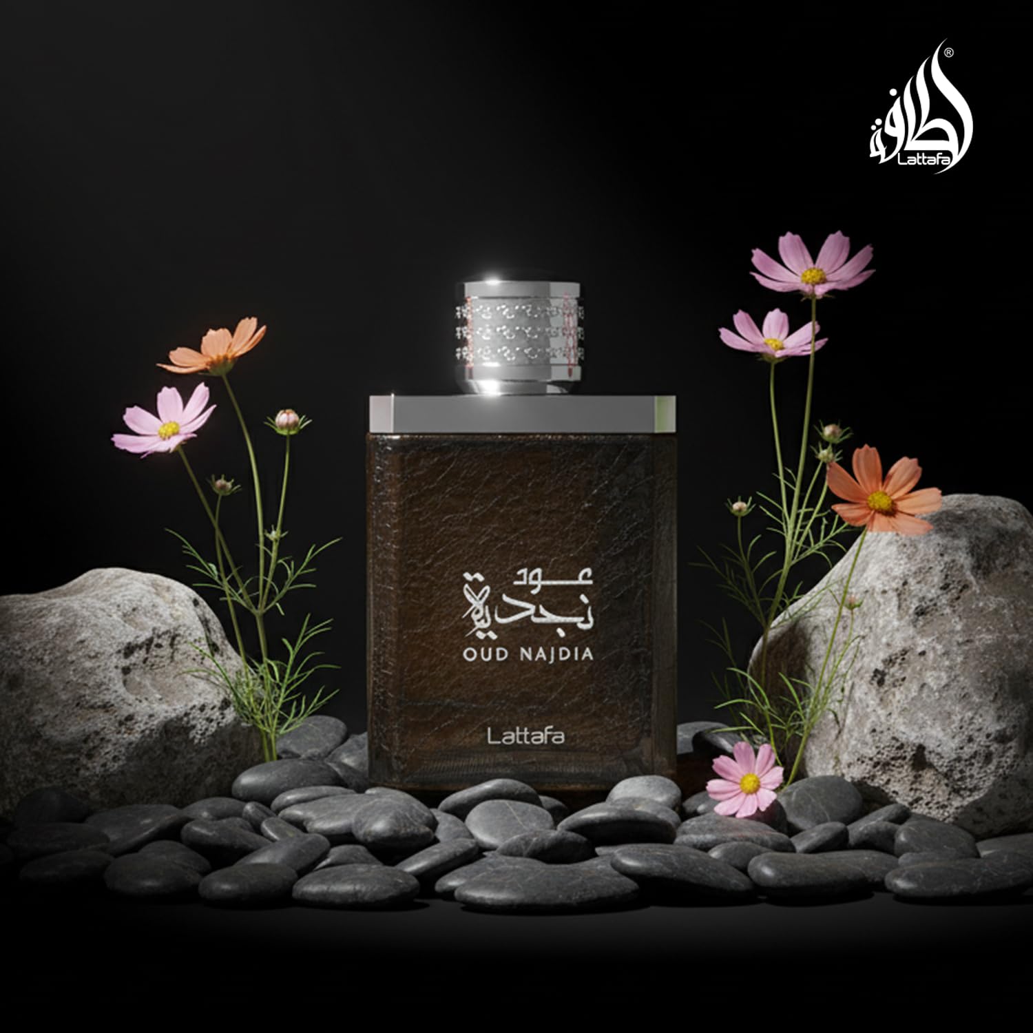 Lattafa Oud Najdia for Men - 3.4 oz EDP Spray - Medaid International