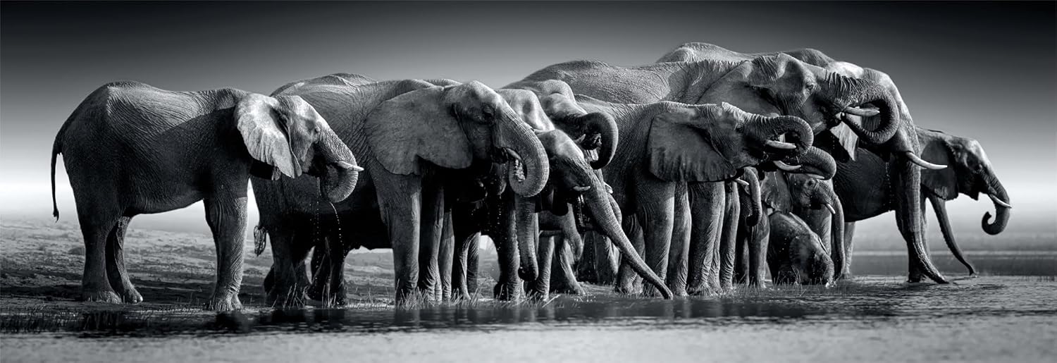 Herd of Giants-1000 Pieces, Panoramic - Medaid International