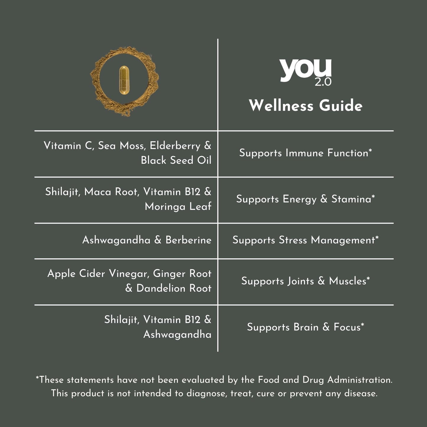 YOU 2.0 Powerhouse Superfood with Seamoss, Shilajit, Ashwagandha, Berberine, Maca, Black Seed Oil, Turmeric, Vitamin C, D, B12, K2 - Moringa, Apple Cider, Made in USA for Overall Health & Immunity - Medaid International