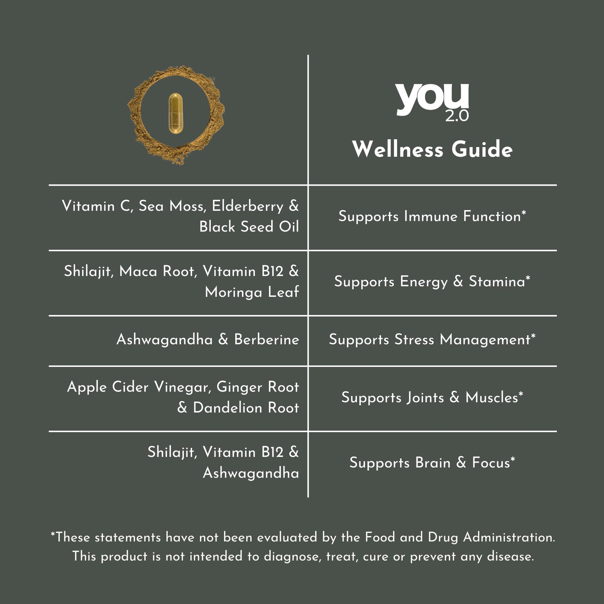 YOU 2.0 Powerhouse Superfood with Seamoss, Shilajit, Ashwagandha, Berberine, Maca, Black Seed Oil, Turmeric, Vitamin C, D, B12, K2 - Moringa, Apple Cider, Made in USA for Overall Health & Immunity - Medaid International