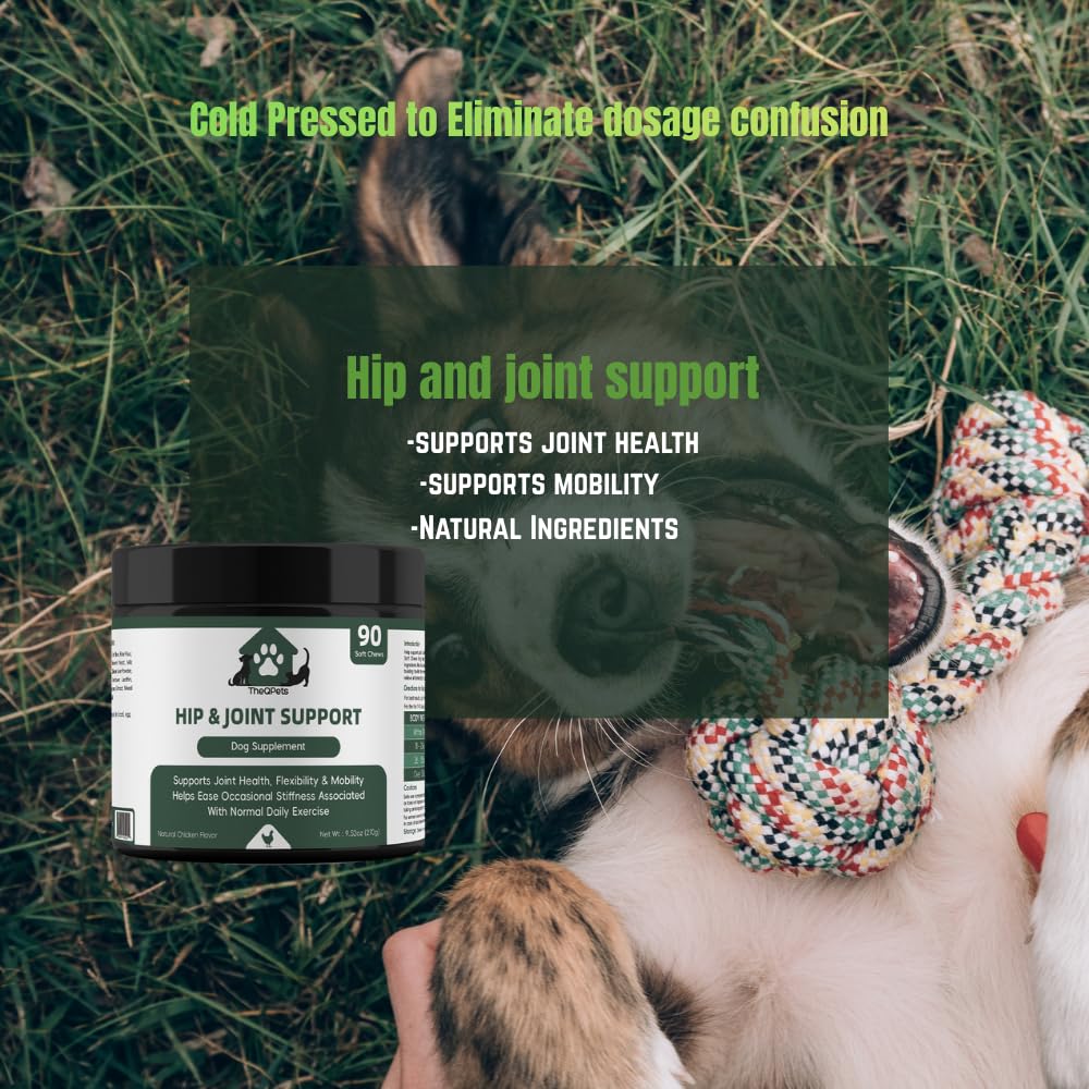 TheQPets Hip & Joint Support for Dogs, 90 Soft Chews – Glucosamine, MSM, Chondroitin, Turmeric, Green‑Lipped Mussel & Collagen – Supports Joint Health, Flexibility & Mobility – Chicken Flavor