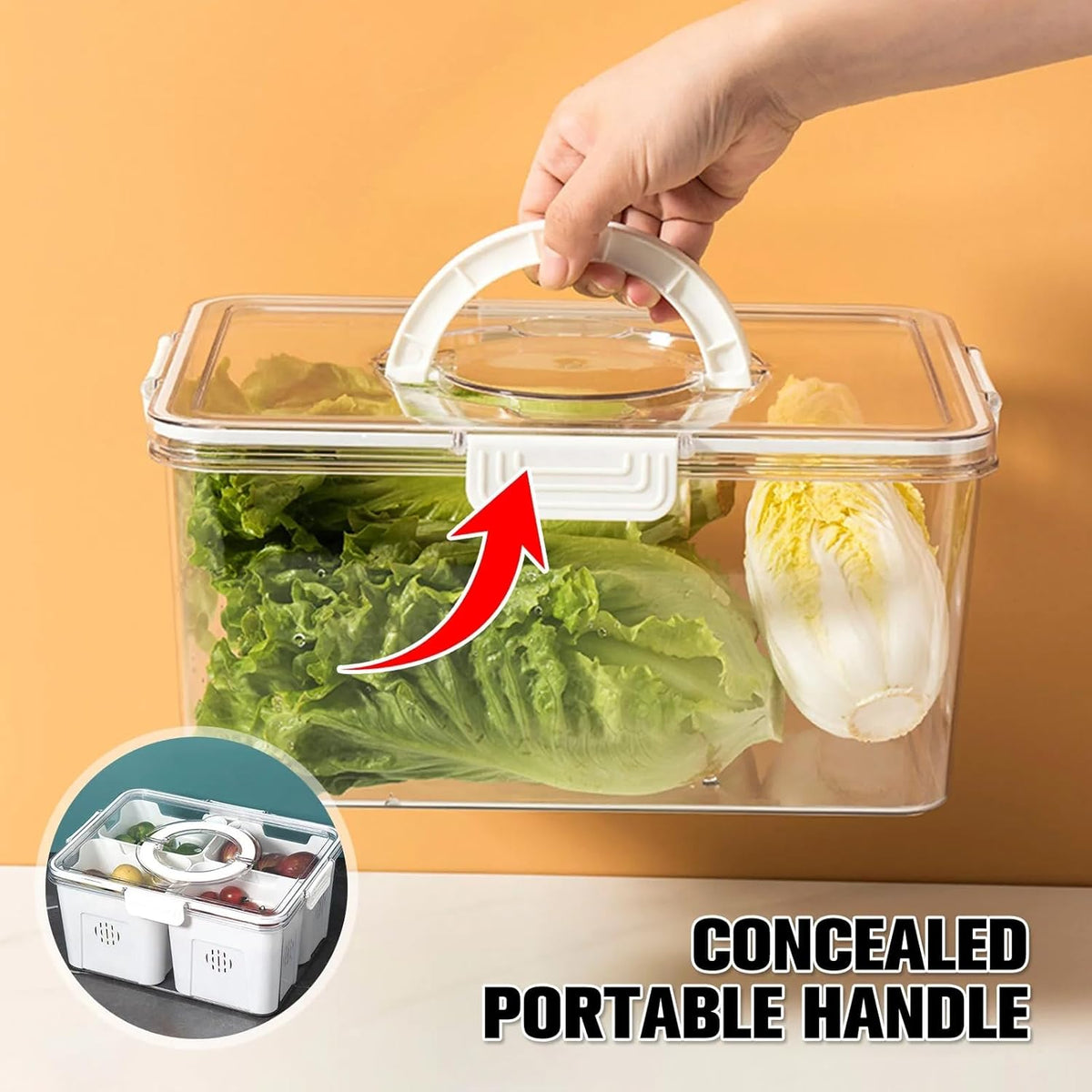 Divided Serving Tray with Lid