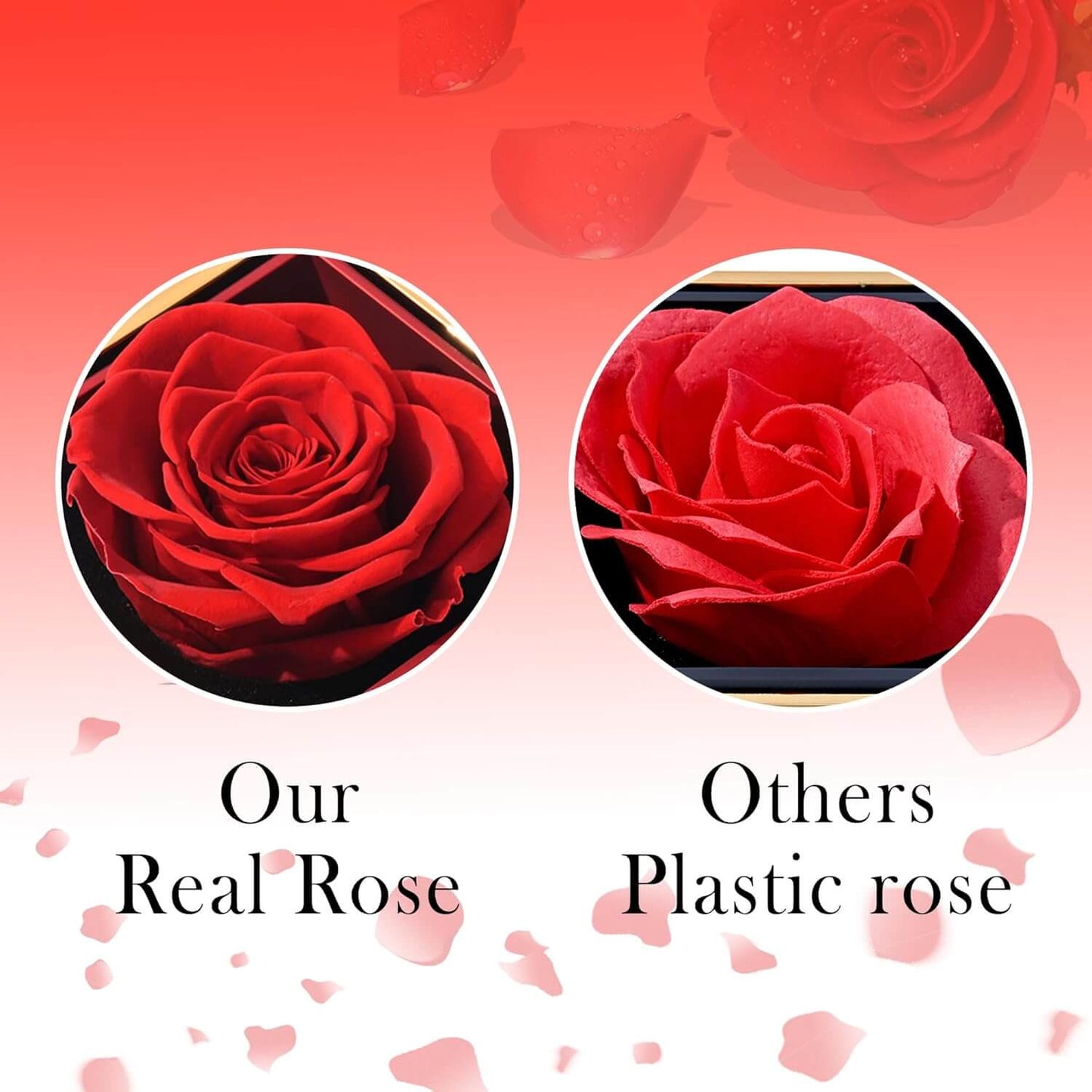 Eternal Rose with Necklace & Real rose