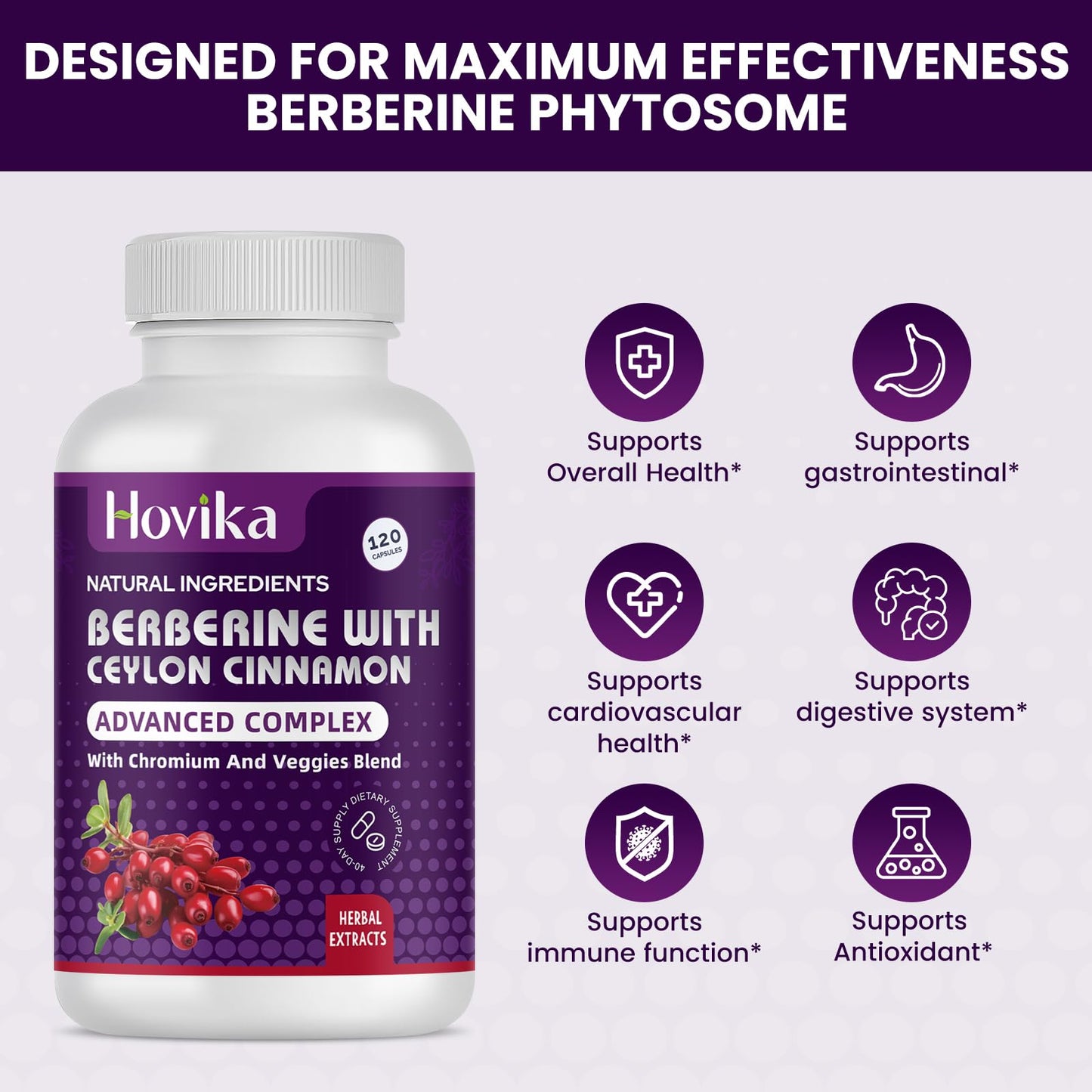 Berberine HCL Capsules 1200 mg - Berberine Supplement with Ceylon Cinnamon, Chromium, Veggies Blend - Supports Metabolism and Immune System, Gut Health - 120 ct Easy to Swallow Vegan Pills - Medaid International