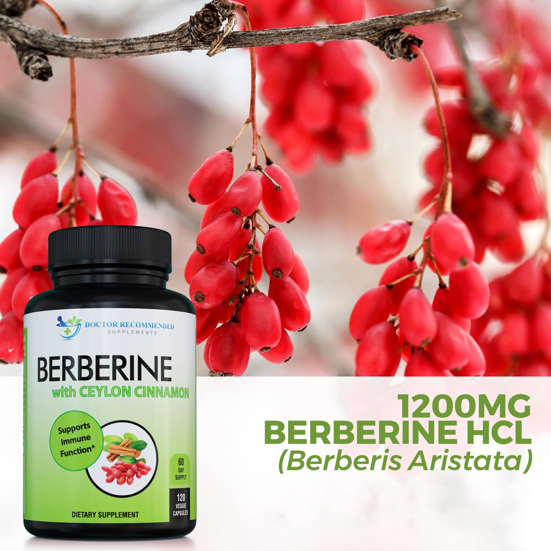 DOCTOR RECOMMENDED SUPPLEMENTS Berberine with Ceylon Cinnamon - 1200mg Berberine & 100mg Organic Ceylon Cinnamon - 120 Veggie Capsules, Healthy Immune System & Gastrointestinal Wellness - Medaid International