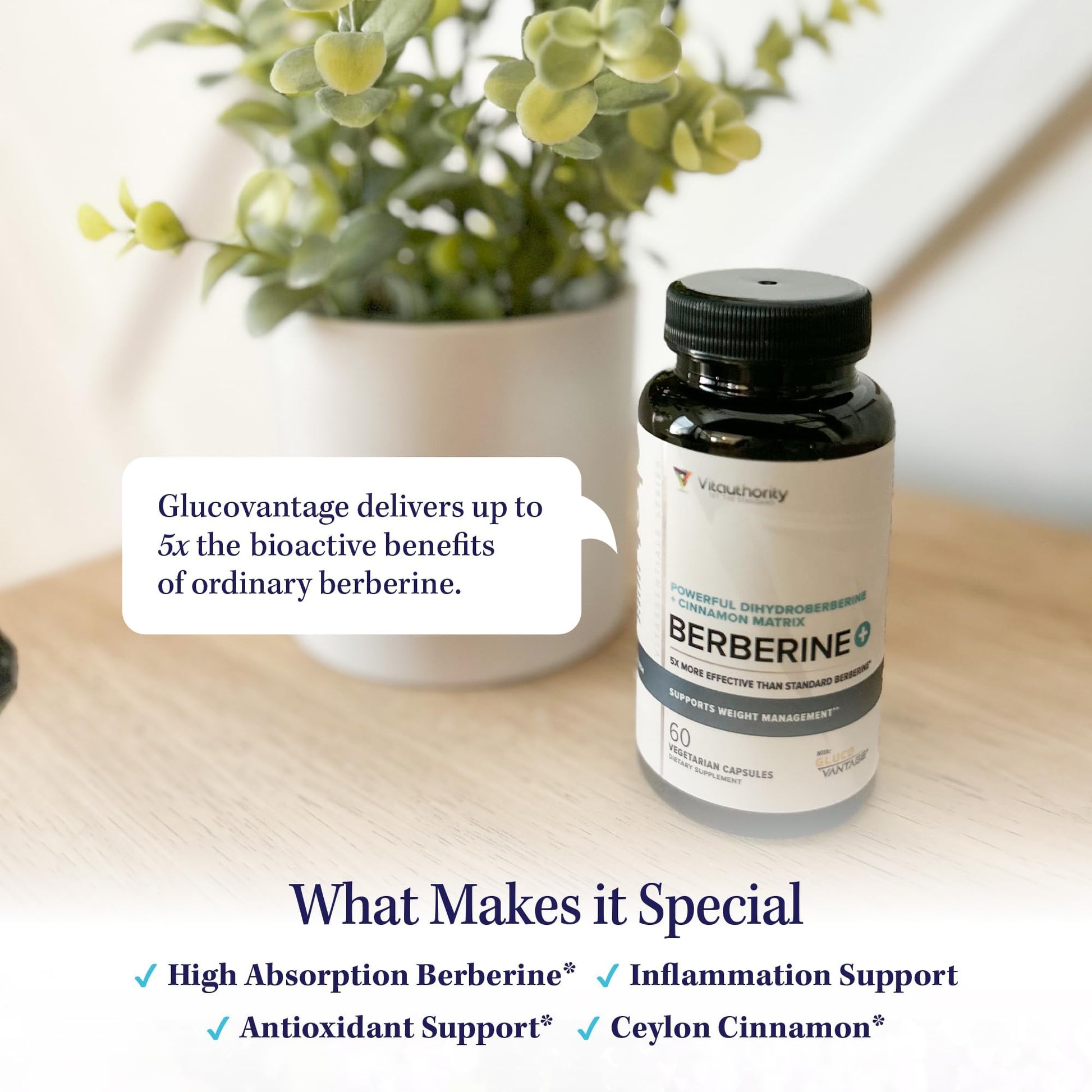 Berberine Supplement Ceylon Cinnamon Supplements Capsules | High Absorption Dihydroberberine, Cinnamon for Balance and Support | Vegan & Gluten Free Powerful AMPk Activator & Antioxidant | 30 Servings - Medaid International