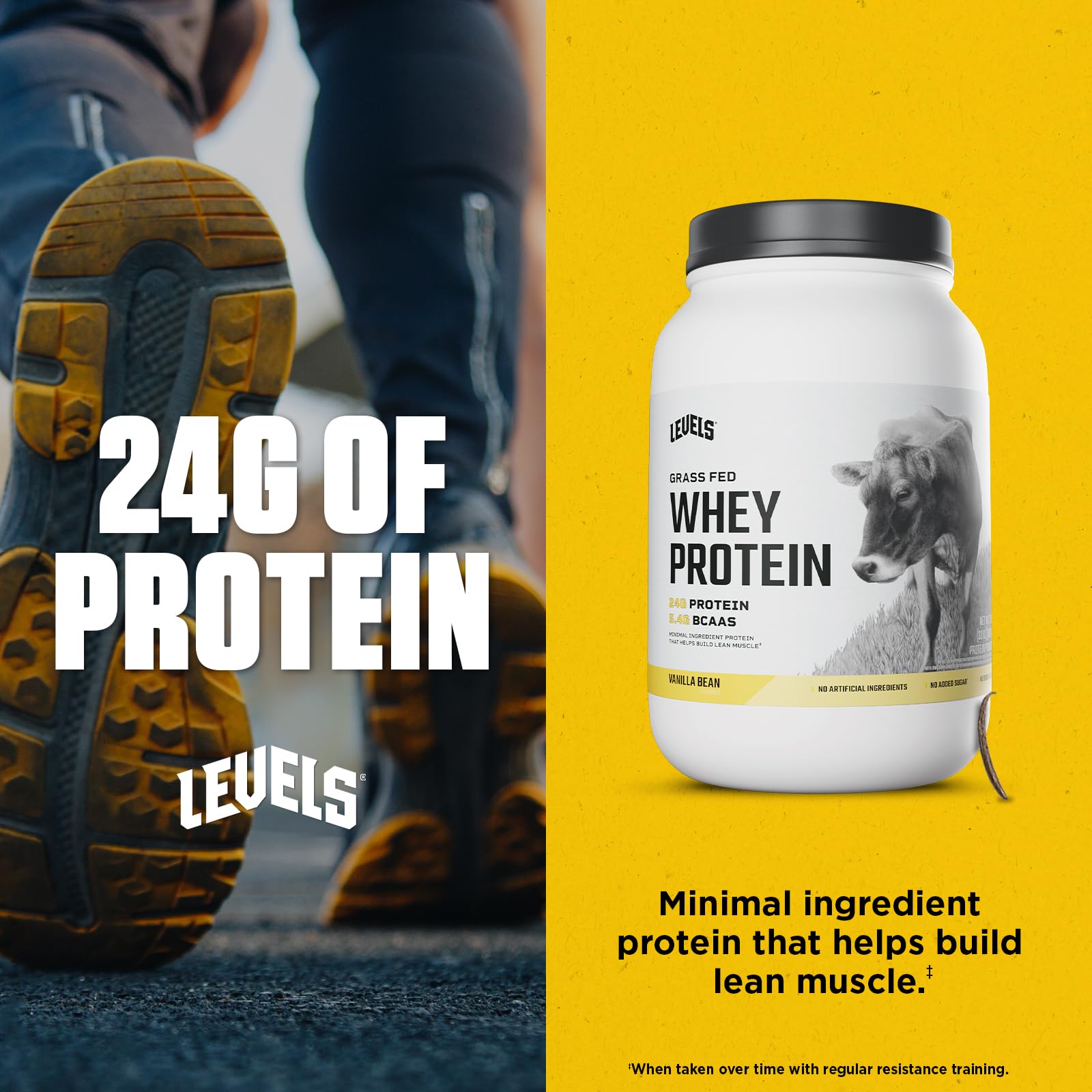 Levels Grass Fed Whey Protein Powder, No Artificials, 24G of Protein, Vanilla Bean, 2LB - Medaid International