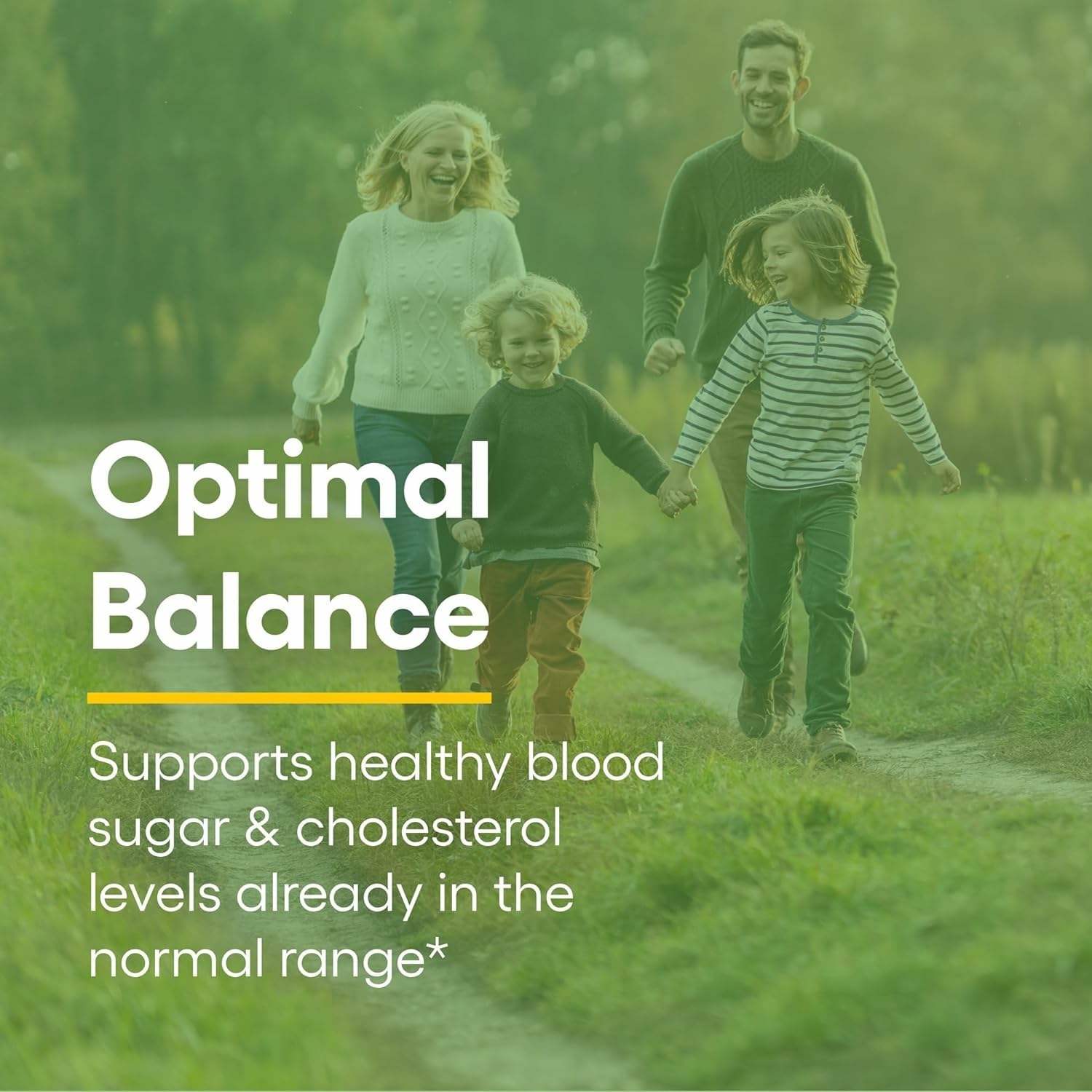 Natural Factors Berberine LipoMicel Matrix - Daily Supplement Supports Metabolic Health - Formula Supports General Health - Gluten-Free & Dairy-Free - 60 Liquid Softgels (60 Servings) - Medaid International