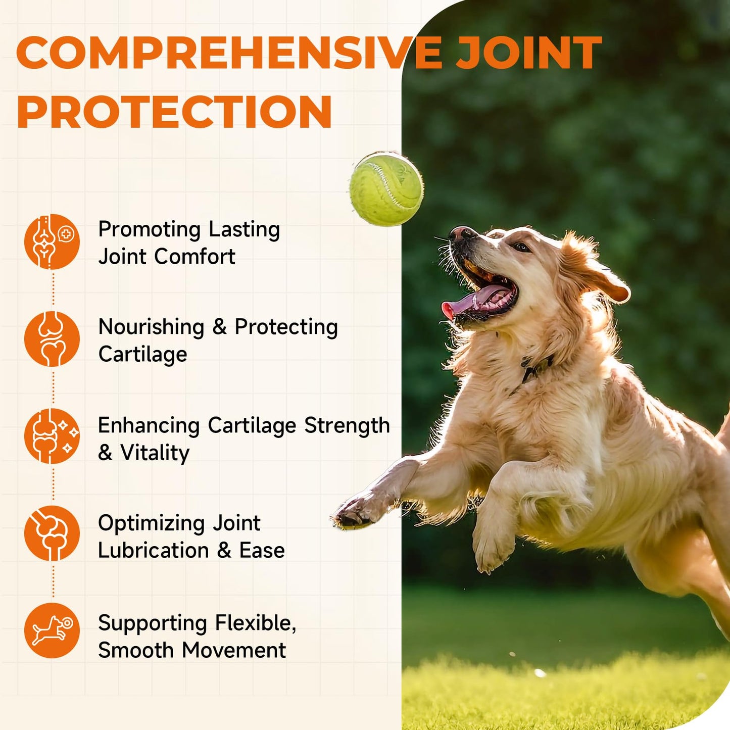 Zozdal Joint Supplement for Dogs, 180 Chicken Flavor Chews, Glucosamine Chondroitin with MSM, Turmeric & Green Lipped Mussel, for Large Breed & Senior Dogs, Hip & Joint Pain Relief and Health Support