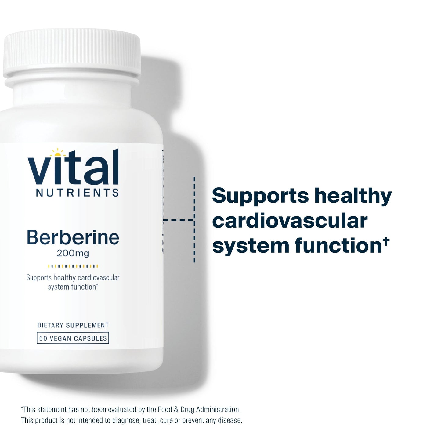 Vital Nutrients Berberine | Supports Healthy Bowel Function and Normal Triglyceride Levels | Vegan Supplement | Gluten, Dairy and Soy Free | 200 mg | 60 Capsules - Medaid International