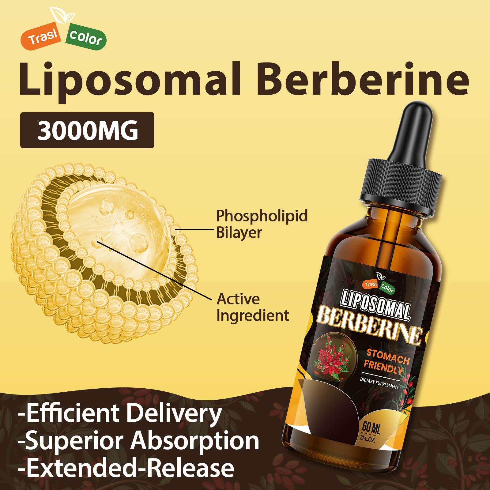 Berberine Supplement Liquid Drops - High Bioavailability Liposomal Berberine Supplements, Berberine HCL Complex with Ceylon Cinnamon Plus Turmeric, AMPK Activator, Suitable for Women,Men-60ml - Medaid International