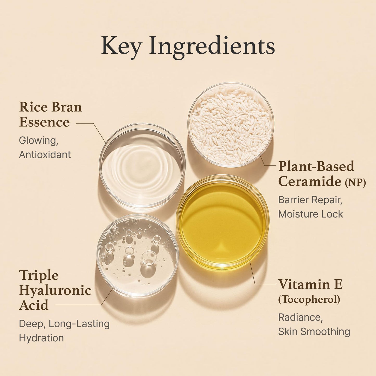 I'm from Rice Cream 1.76 Ounce, Rice Bran Essence with Ceramide, Glowing Look, Improves Moisture Skin Barrier, Deep Nourishment, Smooths and Evens Skin Tone, K-Beauty - Medaid International