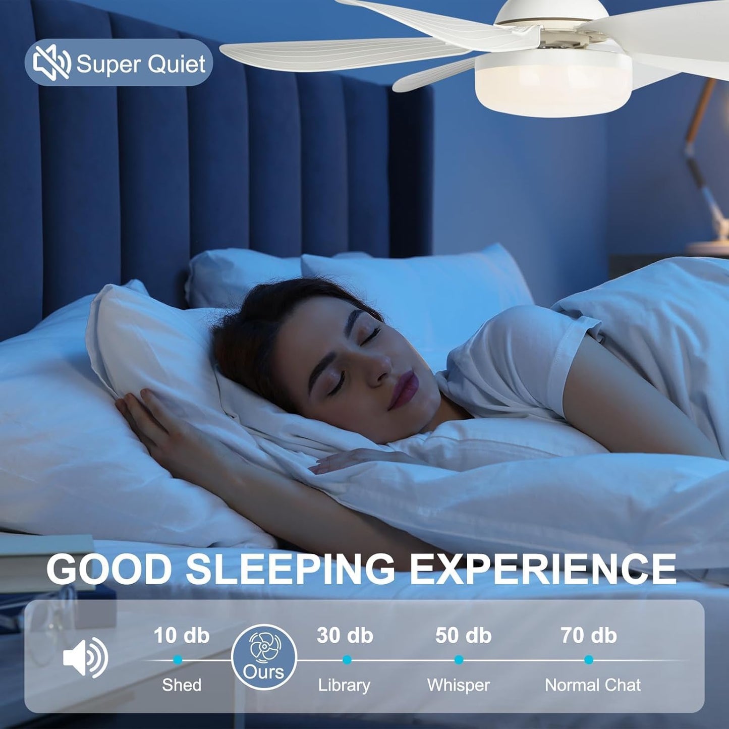 Flower Socket Fan Light (202614c)