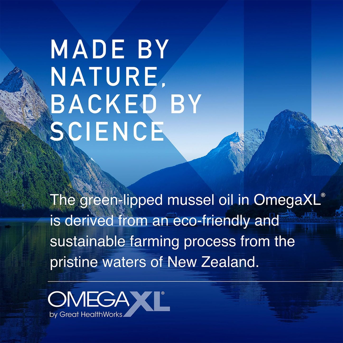 OmegaXL Joint Support Supplement - Natural Muscle Support, Green Lipped Mussel Oil, Soft Gel Pills, Drug-Free, 300 Count - Medaid International