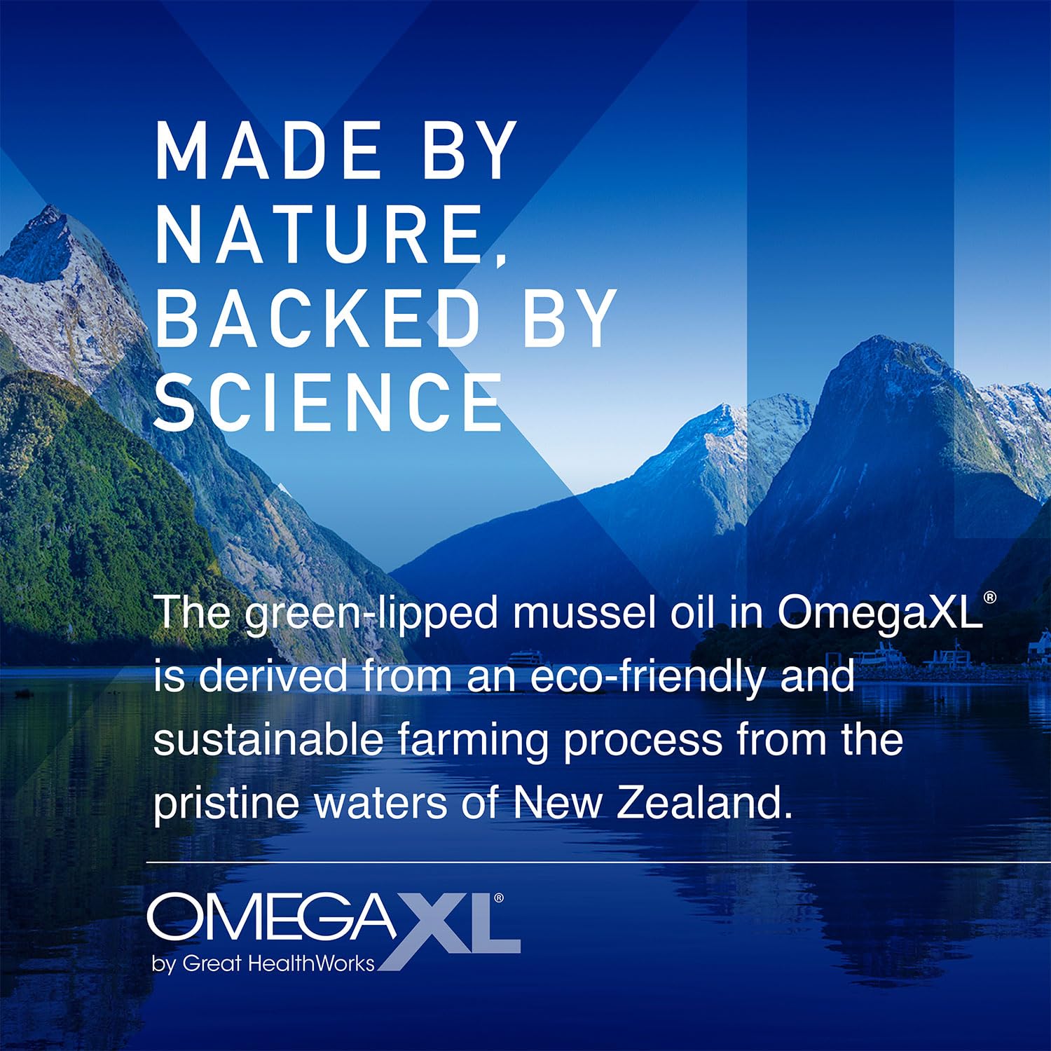 OmegaXL Joint Support Supplement - Natural Muscle Support, Green Lipped Mussel Oil, Soft Gel Pills, Drug-Free, 300 Count - Medaid International