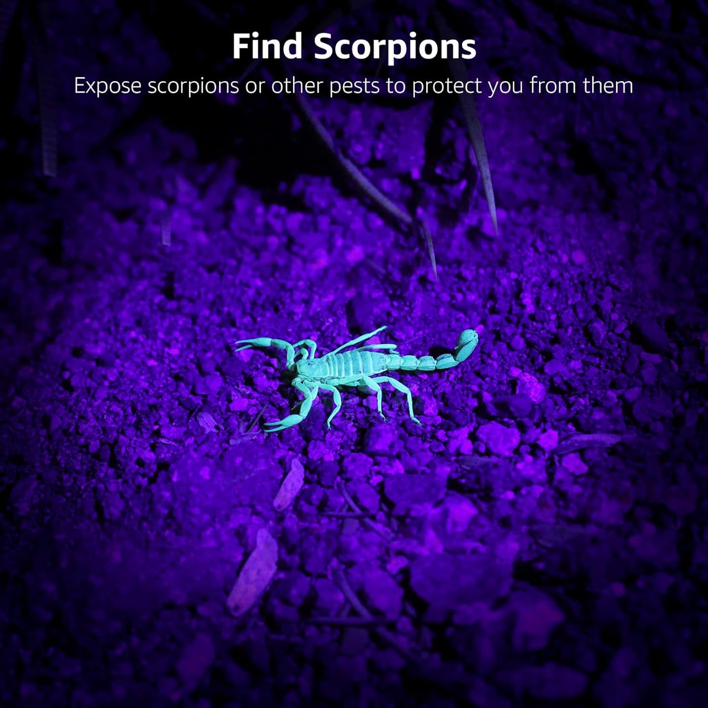 Lepro UV Flashlight, 51 LED UV Light Torch, Black-light Lights, 395nm Ultraviolet Flashlight, Blacklight Detector for Pet Urine, Stain, Bed Bugs, Scorpions, Banknote and More (Batteries Not Included)
