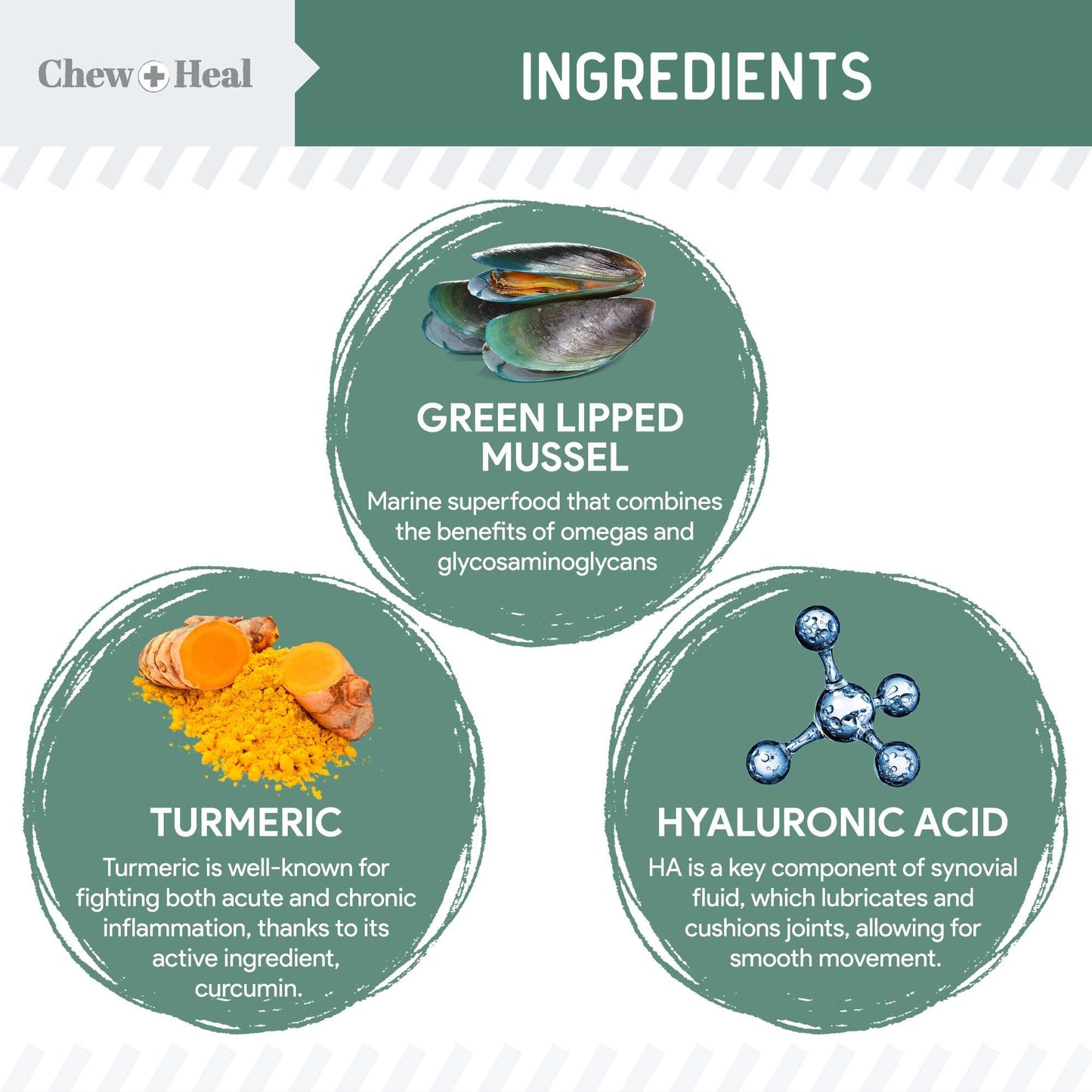 Chew + Heal Labs Glucosamine for Dogs Hip and Joint Supplement - 60 Senior Dogs Mobility Soft Chews - Made with Glucosamine, MSM, Chondroitin, Green Lipped Mussels and More - Made in The USA
