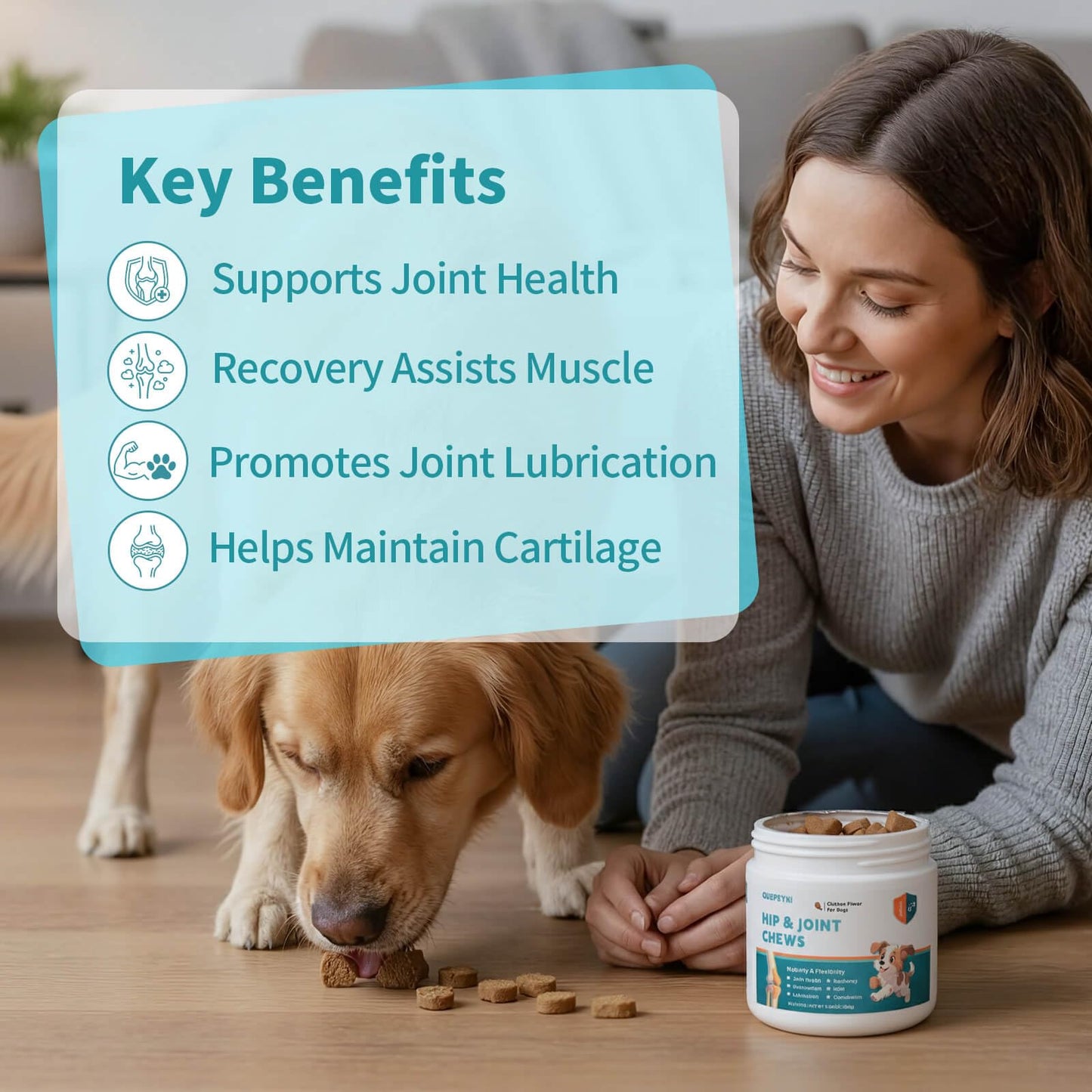QUEPEYKI Glucosamine Chondroitin MSM for Dogs – Hip and Joint Soft Chews with Green Lipped Mussel, Eggshell Membrane & Hyaluronic Acid – Senior Dog Mobility Support – Real Chicken Flavor, 90 Count