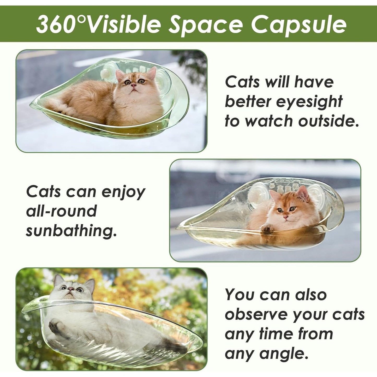 Cat Window Bed