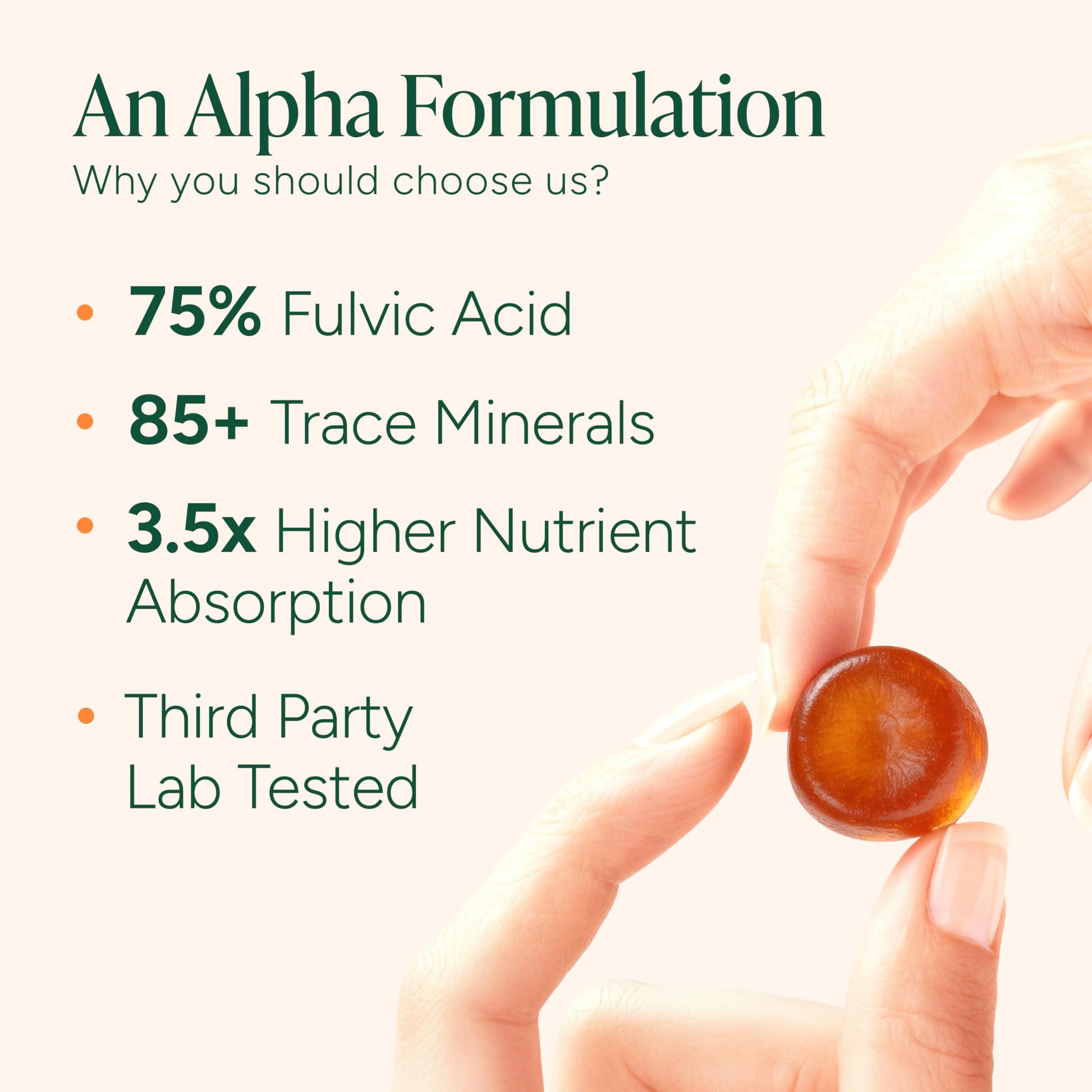 ROOT LABS 10-in-1 Alpha Shilajit Gummies | 4000 mg Pure Himalayan Shilajit, Tongkat Ali, Maca Root, 75% Fulvic Acid | ShilAbsorb Bioavailability Tech | Sugar-Free Vegan, 85+ Trace Minerals | 60 Pack - Medaid International