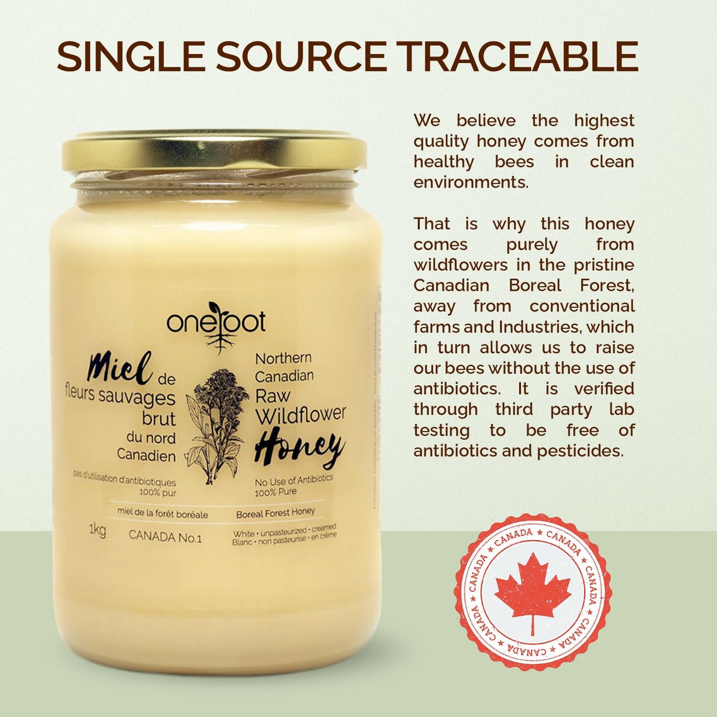 Oneroot 100% Canadian Wildflower Honey - 1kg / 2.2lbs, Unheated & Creamed - Nutrient-Rich, Natural Sweetener with Enzymes - Thick & Pure Raw Unfiltered Honey - Medaid International