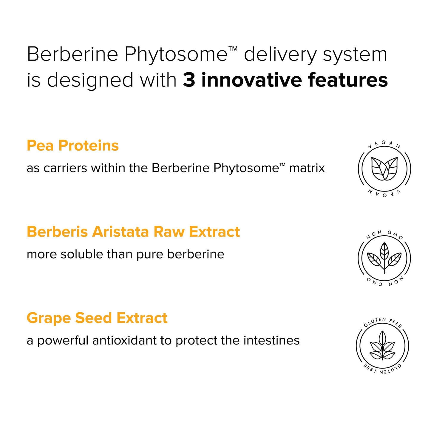 Berberine Phytosome with Berbevis, 550mg Enhanced Absorption Supplement for Metabolic Support & Heart Health, Highly Bioavailable Berberine Complex, Gluten-Free, Non-GMO, 60 Vegetarian Capsules - Medaid International