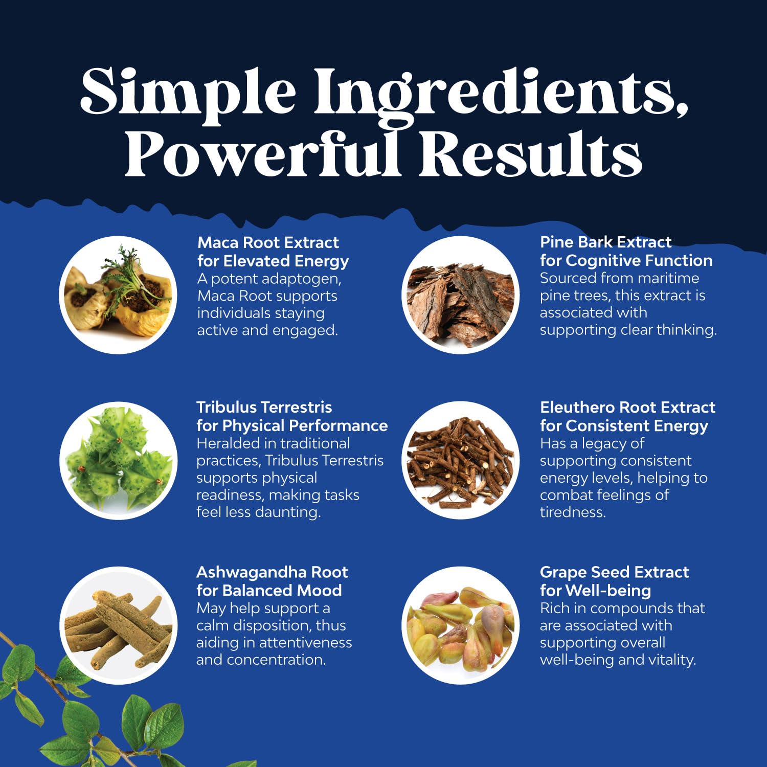 Potent Black Maca Root Capsules for Men - Herbal Wellness Supplement with Siberian Ginseng Ashwagandha and Black Maca Root - Men’s Wellness Supplement to Support General Health (60 Servings) - Medaid International