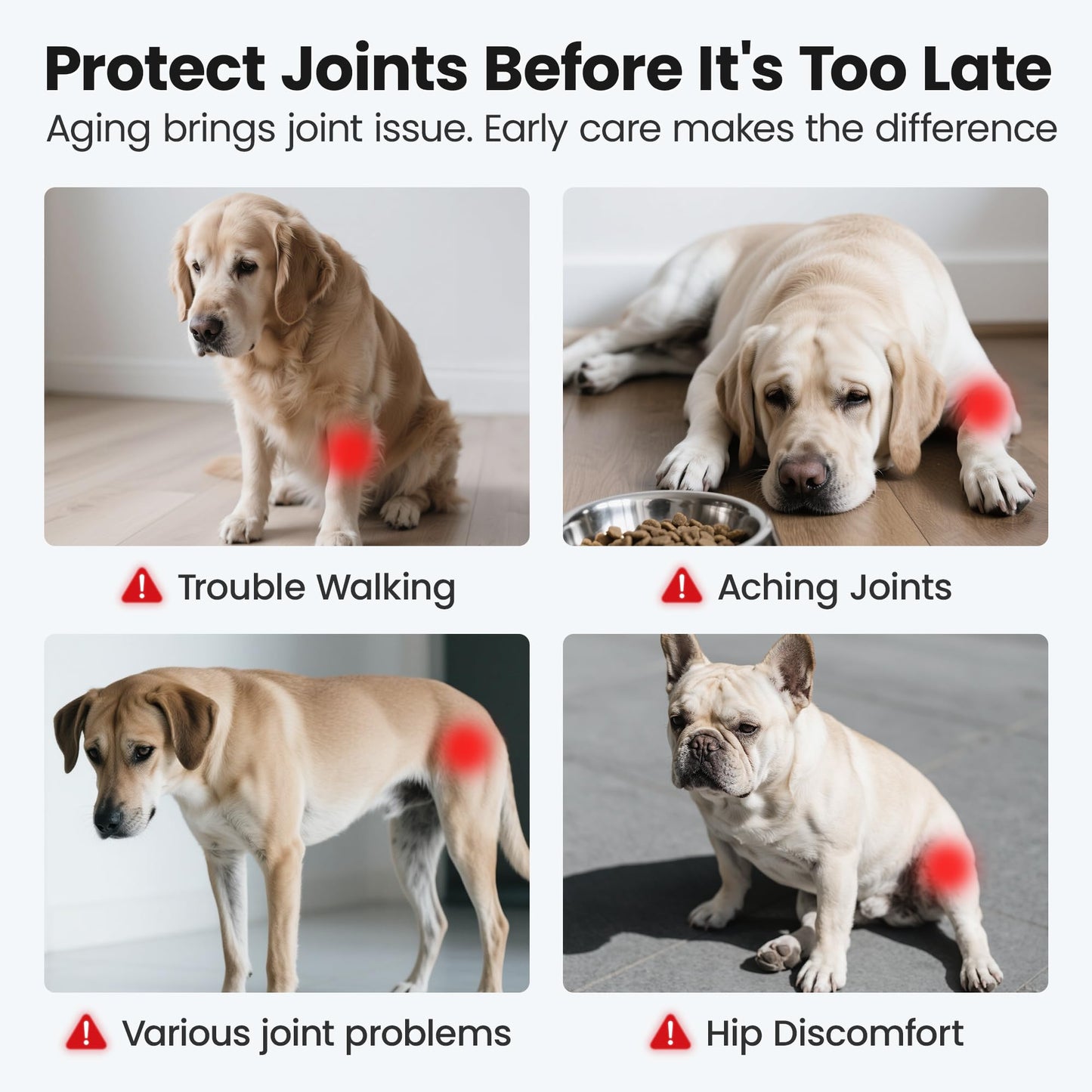 PawFirst Glucosamine for Dogs Hip and Joint Supplement Soft Chews, Chondroitin Joint Supplement with MSM, Green-lipped Mussels for Small Medium & Large Dogs -100 Ct