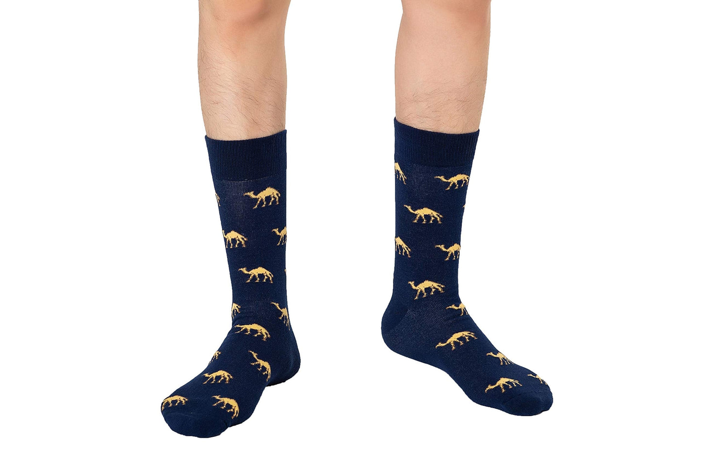 AUSCUFFLINKS Camel Socks For Him | Desert Fun Socks Gift for Her | Egyptian Happy Gift Socks Egypt Quirky Novelty Present for Dad | Socks for Mum (Camel) - Medaid International