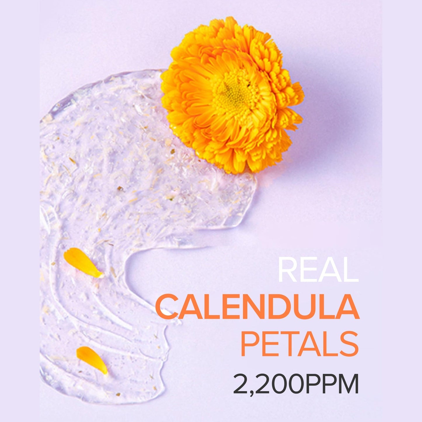 Mary&May Vegan Calendula Peptide Ageless Sleeping Mask - Overnight Hydration Face Gel Mask Korean Facial Mask - Soothing Acne, and Anti-Aging with Ceramide, Hyaluronic Acid, Cica, 1.01 fl.oz. - Medaid International
