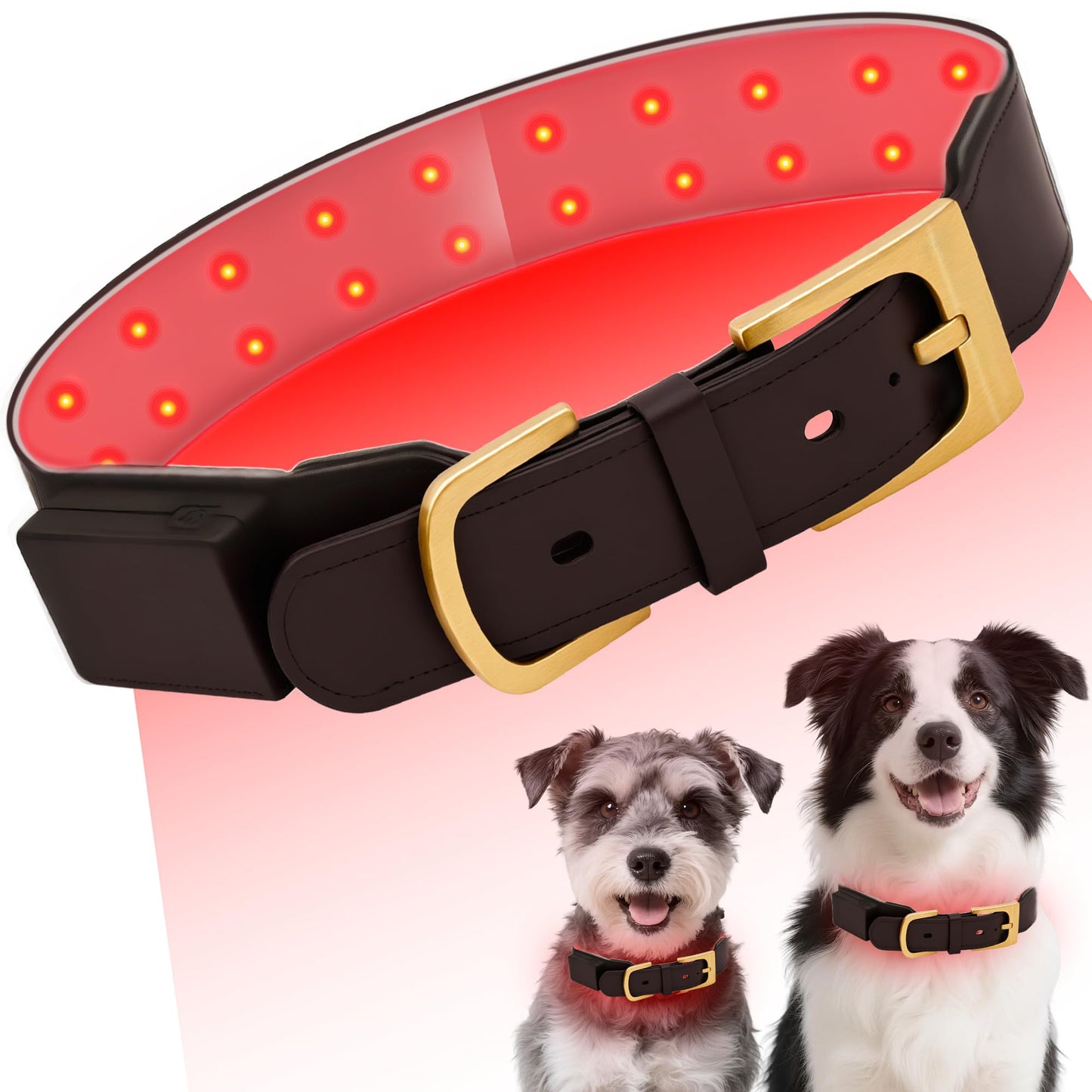 Red Light Therapy Collar for Dog, 660nm & 810nm & 980nm Infrared Red Light Vet Therapy Device for Pet, Cold Laser Therapy Device for Dog Tissue Repair, Pain Relief Arthritis, Promote Blood Circulation - Medaid International