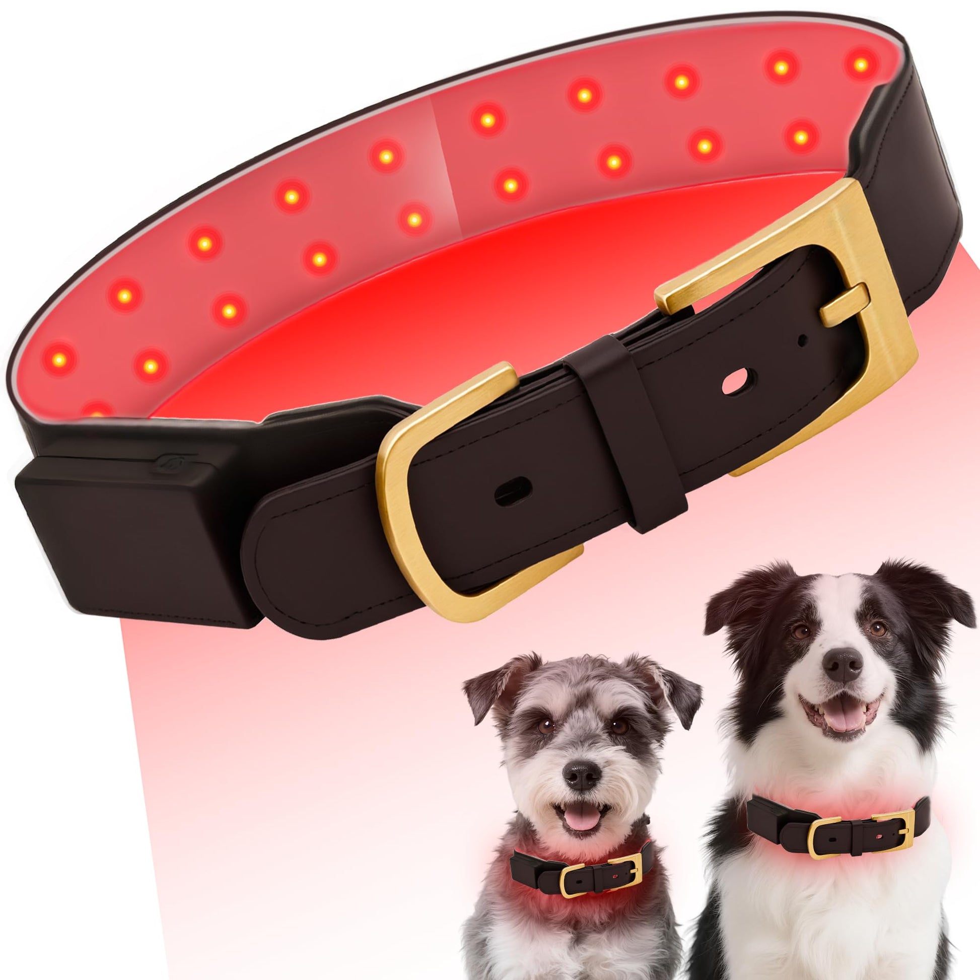 Red Light Therapy Collar for Dog, 660nm & 810nm & 980nm Infrared Red Light Vet Therapy Device for Pet, Cold Laser Therapy Device for Dog Tissue Repair, Pain Relief Arthritis, Promote Blood Circulation - Medaid International