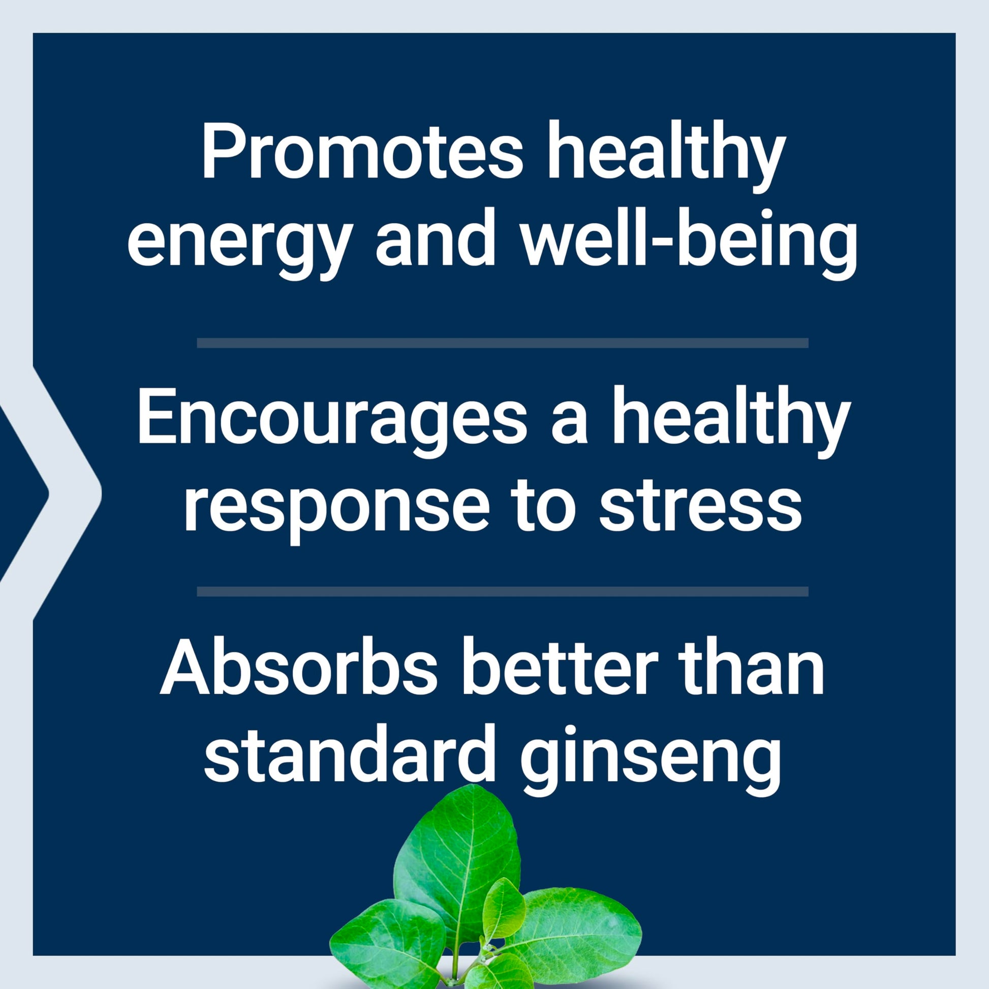 Life Extension Ginseng Energy Boost, Energy Support, Healthy Stress Management, Gluten-Free, Non-GMO, Vegetarian, 30 Capsules - Medaid International