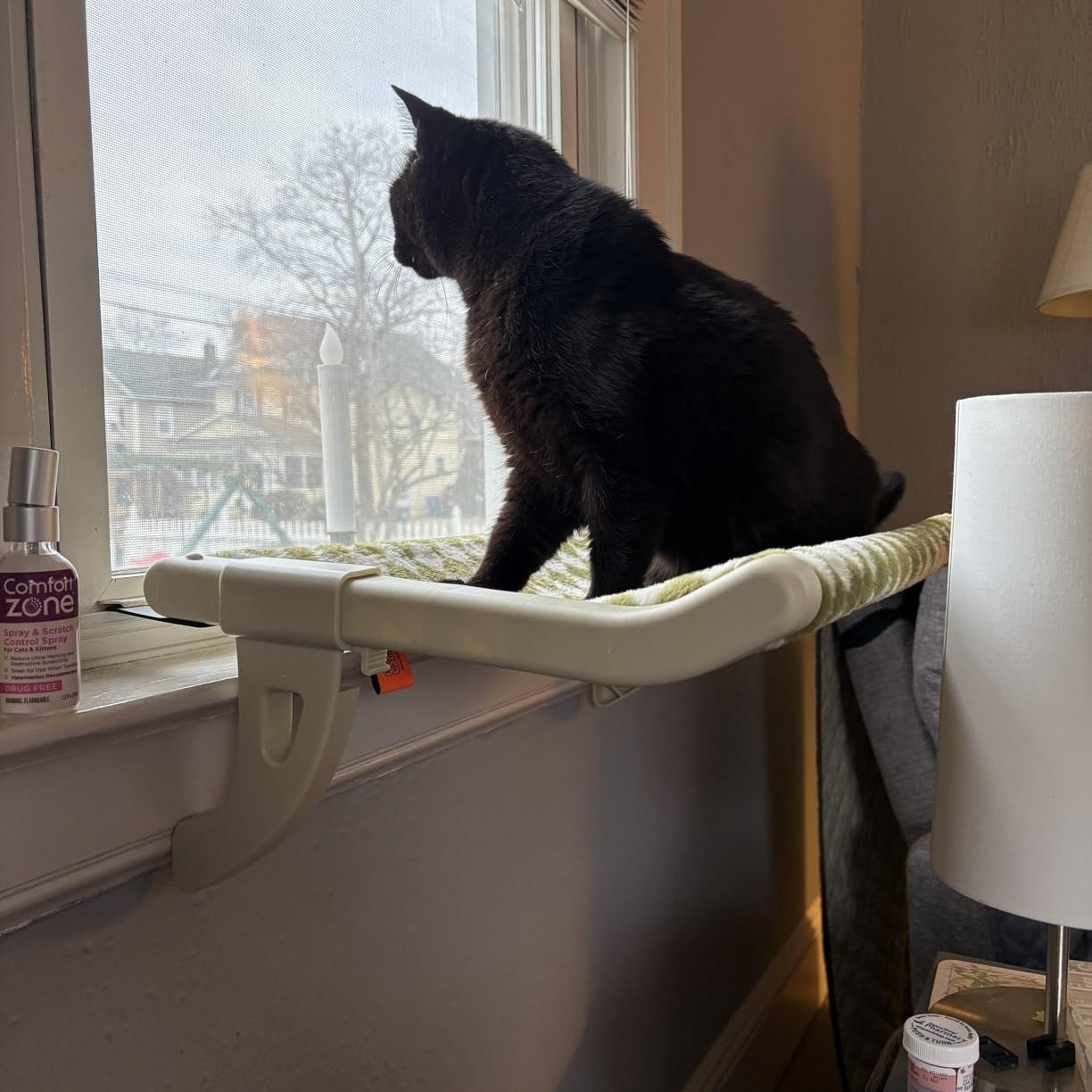 MEWOOFUN Window Sill Perch for Indoor Cats hammock