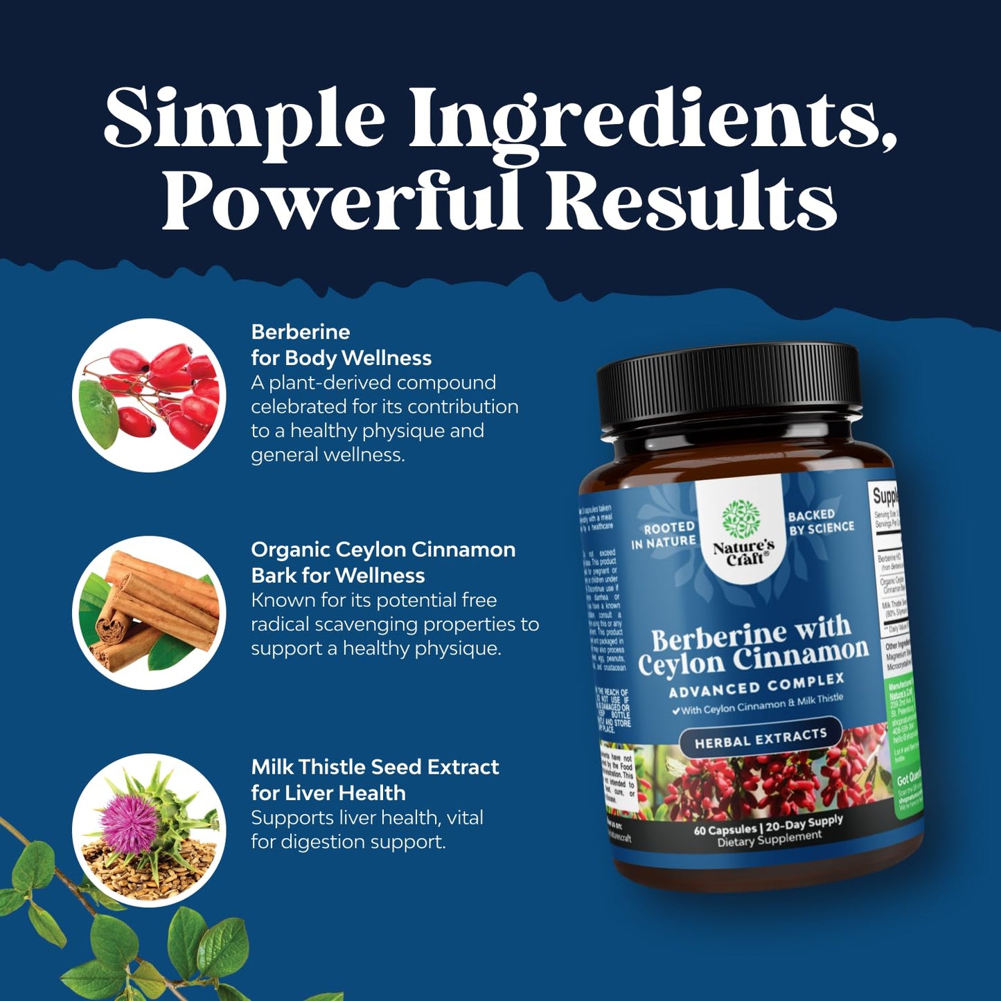 Balancing Berberine Plus 1200mg Per Serving Complex - Antioxidant Berberine with Ceylon Cinnamon Capsules Plus Silymarin Milk Thistle Extract - Active PK for Heart Health and Sugar Support 60 Capsules - Medaid International