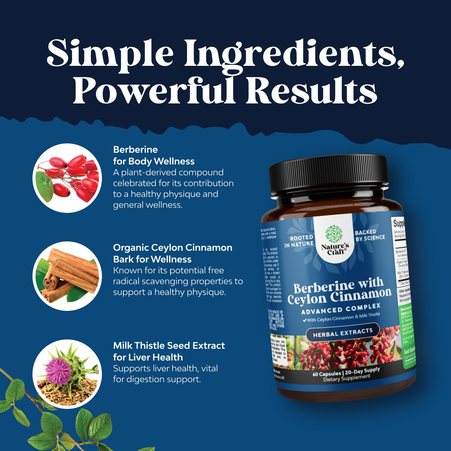 Balancing Berberine Plus 1200mg Per Serving Complex - Antioxidant Berberine with Ceylon Cinnamon Capsules Plus Silymarin Milk Thistle Extract - Active PK for Heart Health and Sugar Support 60 Capsules - Medaid International