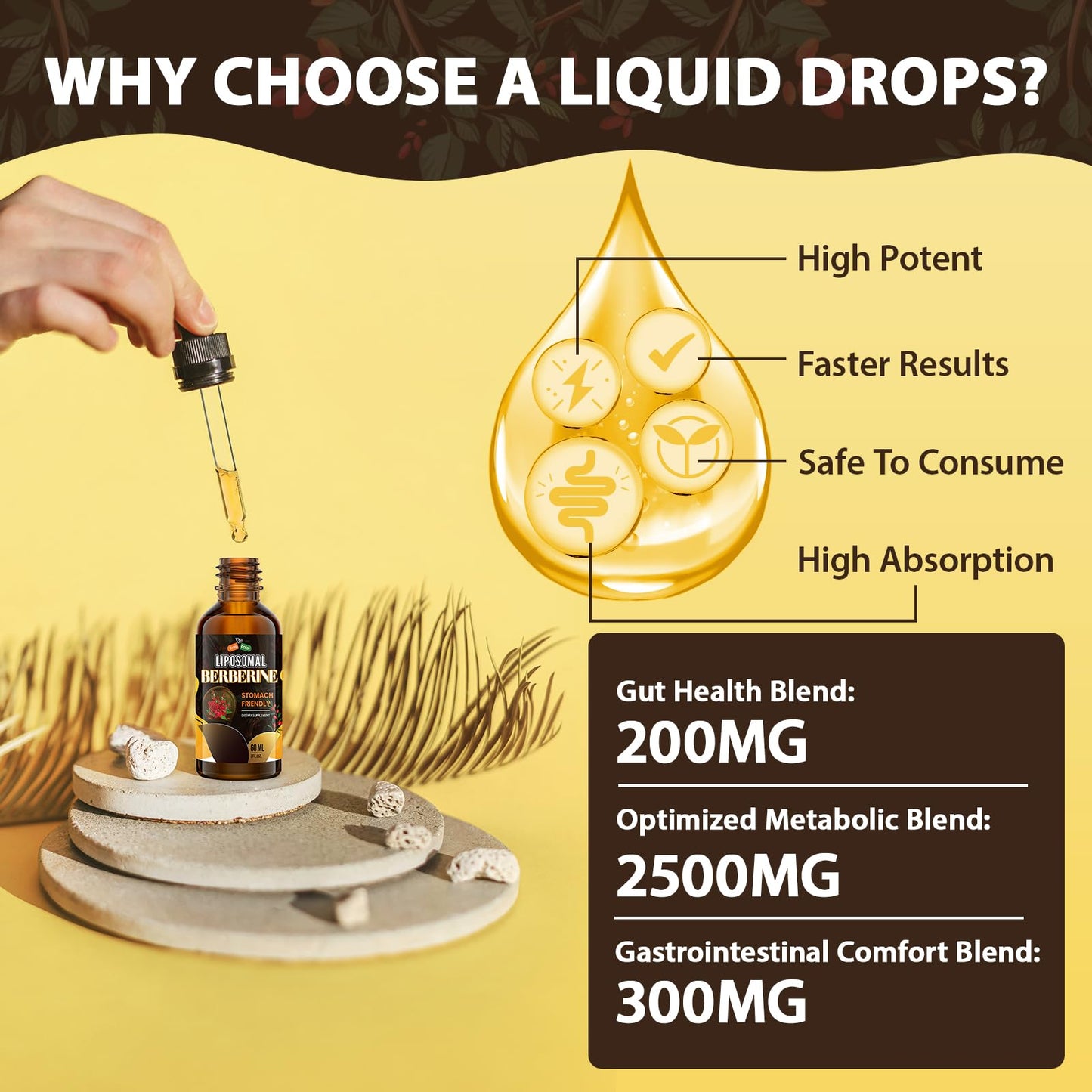 Berberine Supplement Liquid Drops - High Bioavailability Liposomal Berberine Supplements, Berberine HCL Complex with Ceylon Cinnamon Plus Turmeric, AMPK Activator, Suitable for Women,Men-60ml - Medaid International