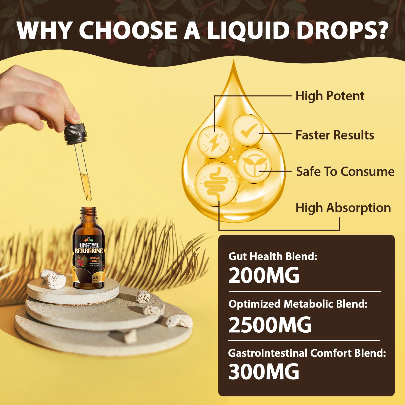 Berberine Supplement Liquid Drops - High Bioavailability Liposomal Berberine Supplements, Berberine HCL Complex with Ceylon Cinnamon Plus Turmeric, AMPK Activator, Suitable for Women,Men-60ml - Medaid International