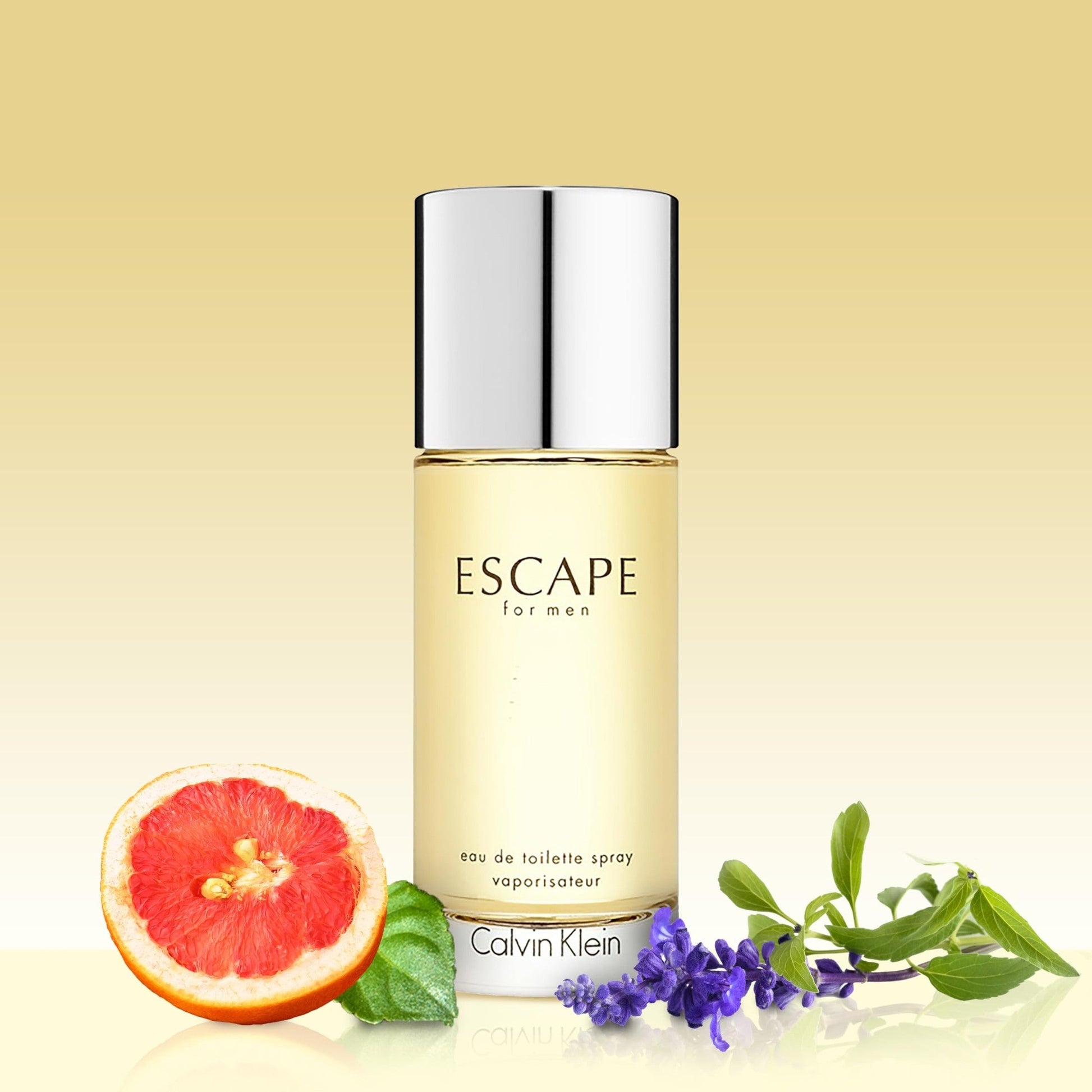 Escape by Calvin Klein for Men, Eau De Toilette Spray, 1.7 Ounce - Medaid International