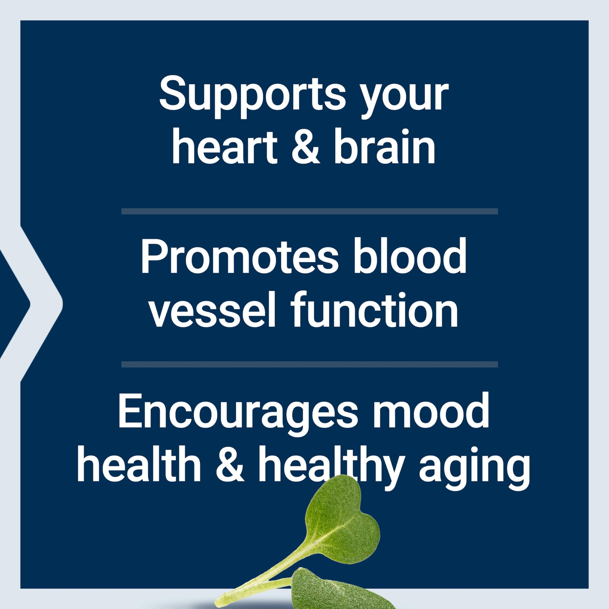 Life Extension Super Omega-3 EPA/DHA Fish Oil, Sesame Lignans & Olive Extract – Heart Health, Brain Health, Inflammation Health Support, Cholesterol Health Support, Gluten-Free, Non-GMO, 60 Softgels - Medaid International
