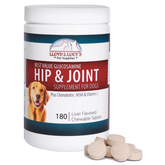 Lloyd & Lucy's Hip and Joint Supplement for Dogs - Chewable Multivitamin with Glucosamine, Chondroitin, MSM and Vitamin C - Healthy Liver Flavored Treat Pets Will Love - 180 Ct Tablets