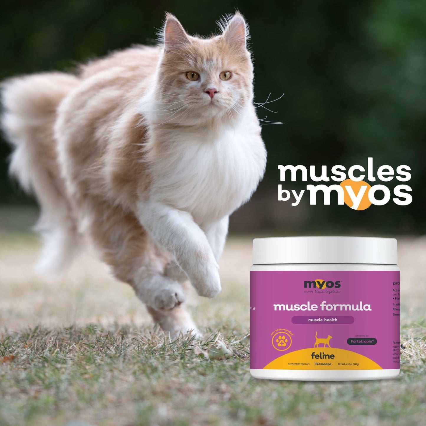 MYOS Feline Muscle Formula - Powered by Fortetropin for Senior Cats - Aids Weight Gain, Muscle Growth & Mobility Support - Natural, Cat Nutritional Supplement - 180 Servings - Medaid International