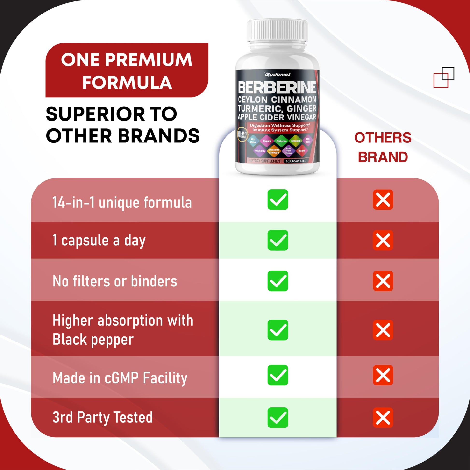 Berberine Ceylon Cinnamon - All-in-1 Supplement with Bitter Melon AVG Gymnema sylvestre Turmeric Milk Thistle Licorice Holy Basil Fenugreek Banaba - Medaid International