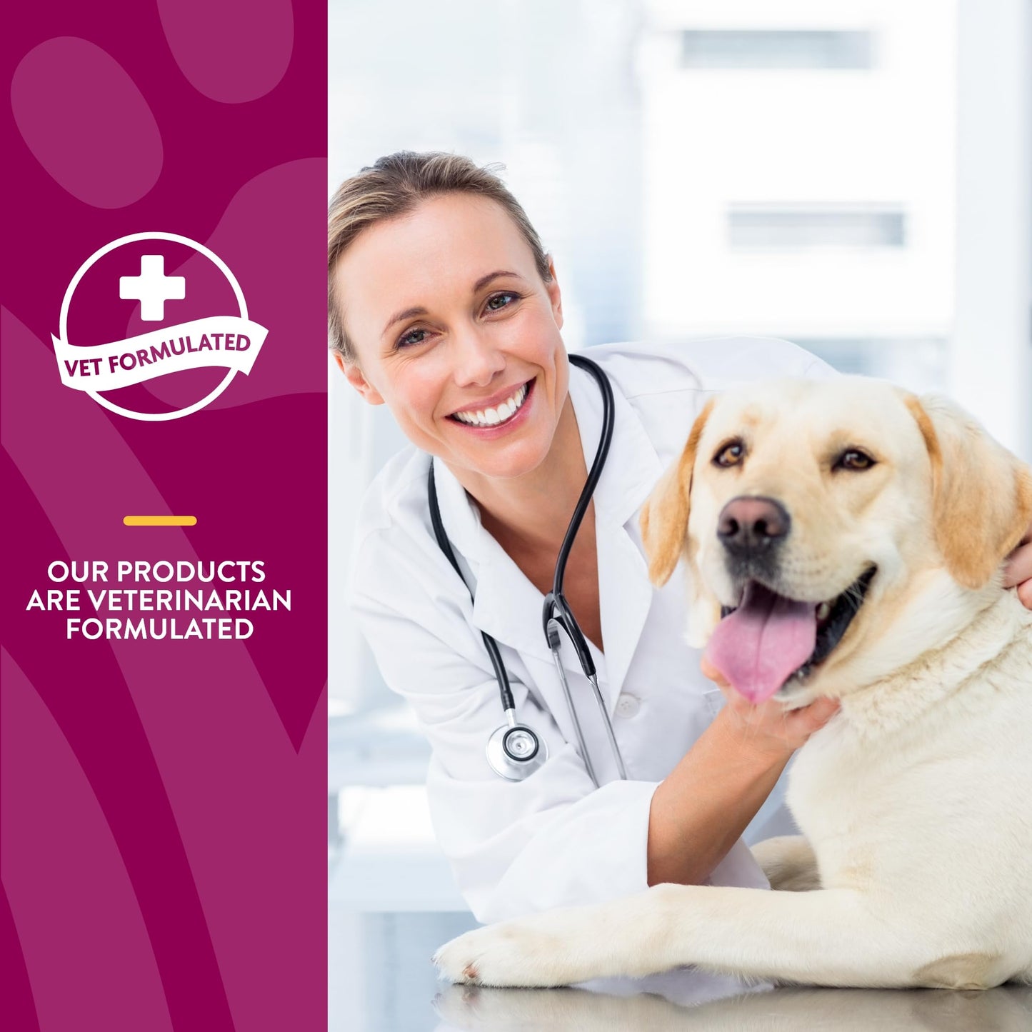 NaturVet Arthrisoothe Glucosamine for Dogs – Dog Supplement with Glucosamine, MSM, Chondroitin & Hyaluronic Acid – ArthriGold Level 3 – 240 Soft Chews