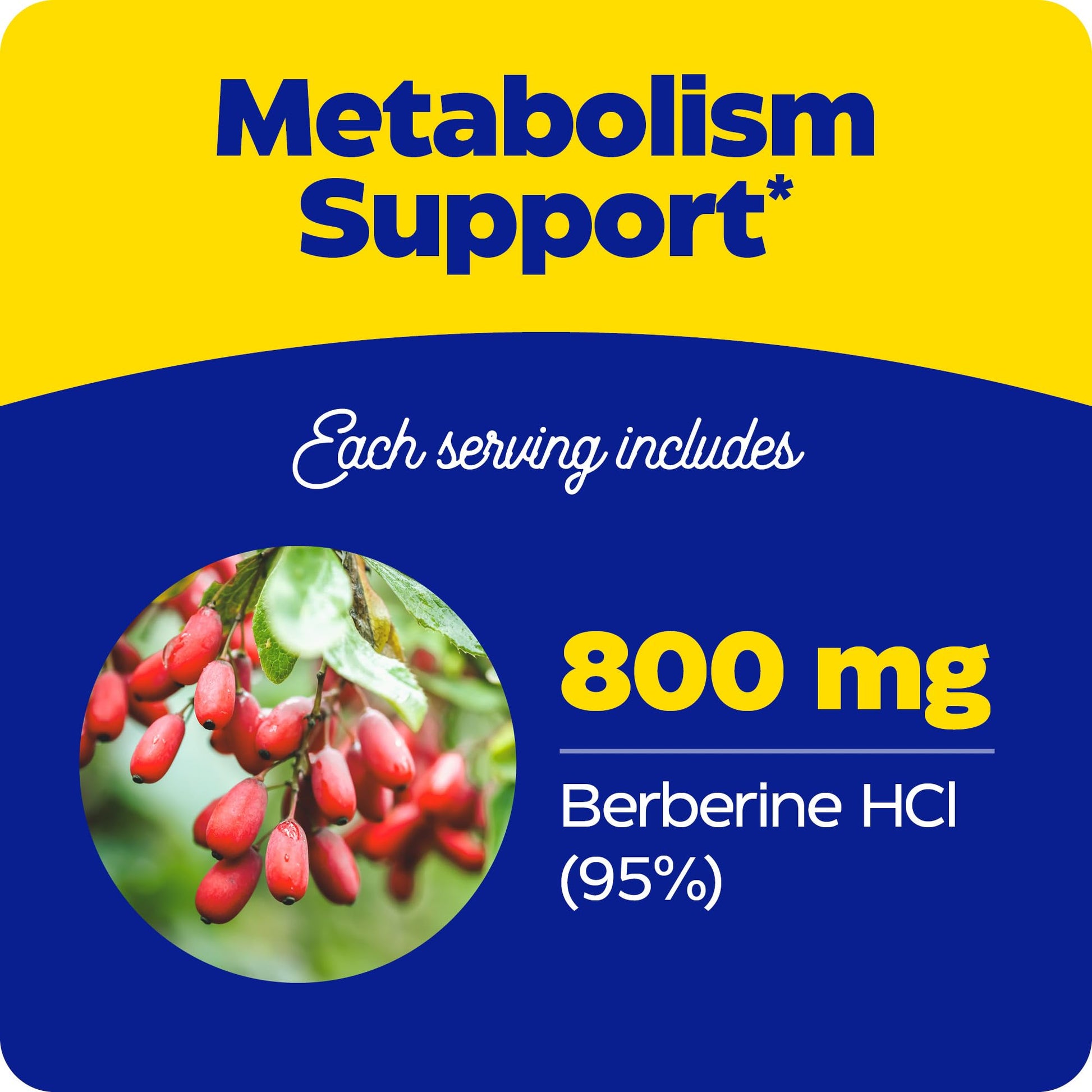 Enzymedica Berberine 800 mg – Vegan Capsules for Metabolic Support – from Sustainably Sourced Barberry – Non-GMO, Gluten-Free, No Fillers or Excipients – 60 Capsules - Medaid International