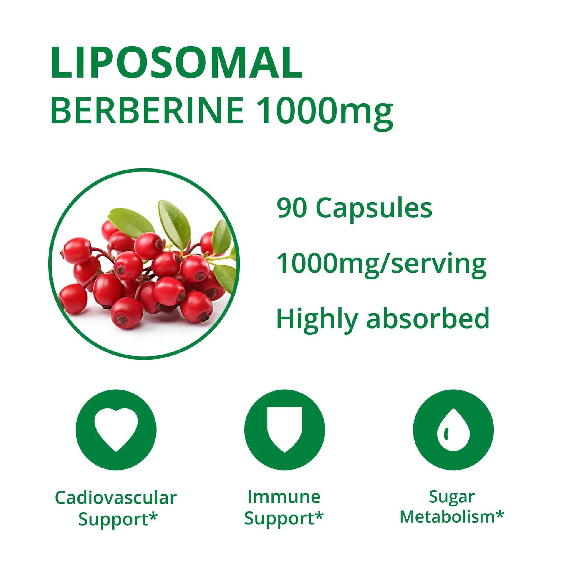 UpNourish Liposomal Berberine Supplement - Advanced Berberine HCl 1000mg Plus Ceylon Cinnamon, Chromium Picolinate, Curcuminoids, Resveratrol, Green Tea and Yerba Mate - 90 Vegan Capsules - Medaid International